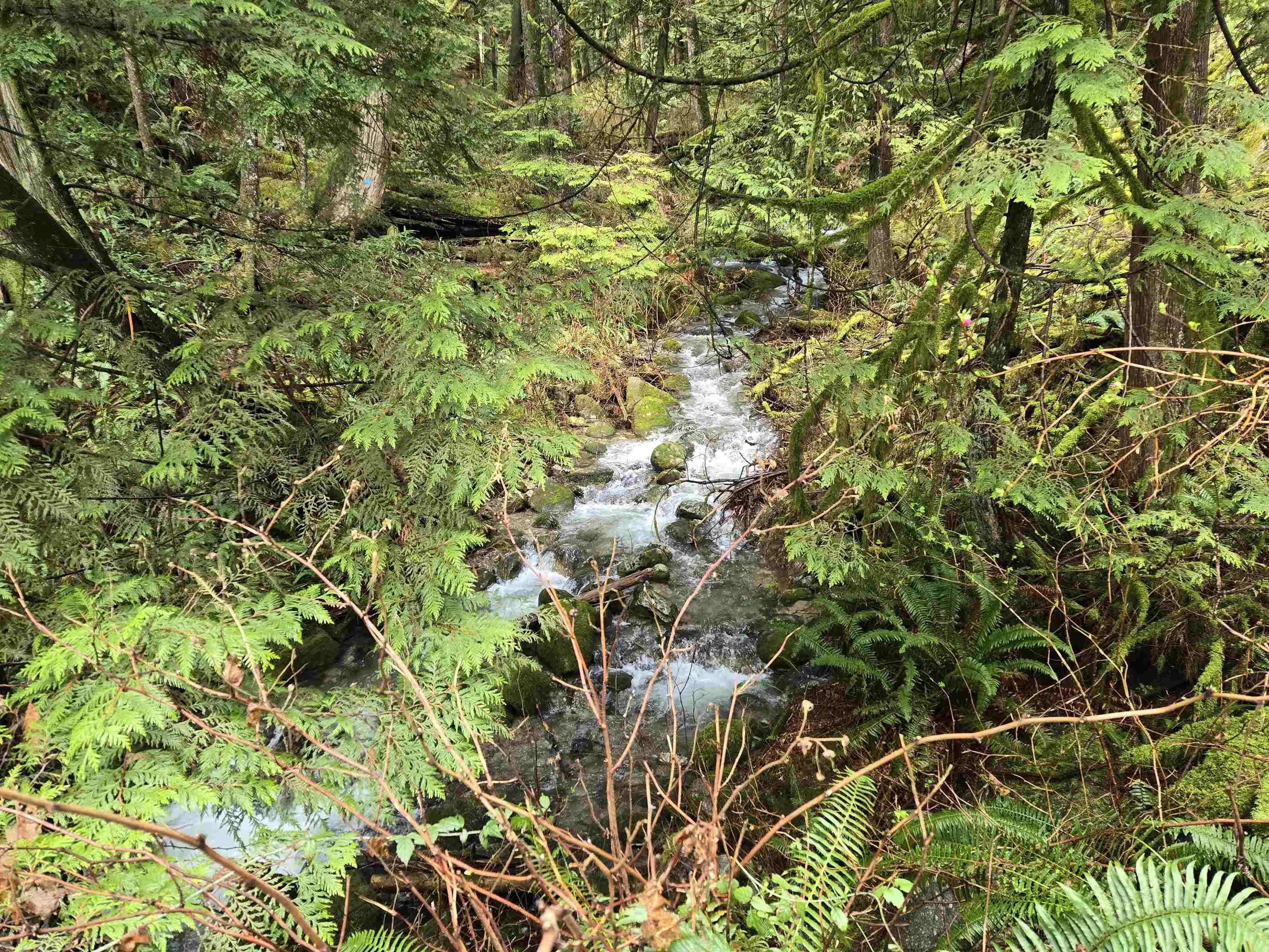 Lot 4 Williams Landing