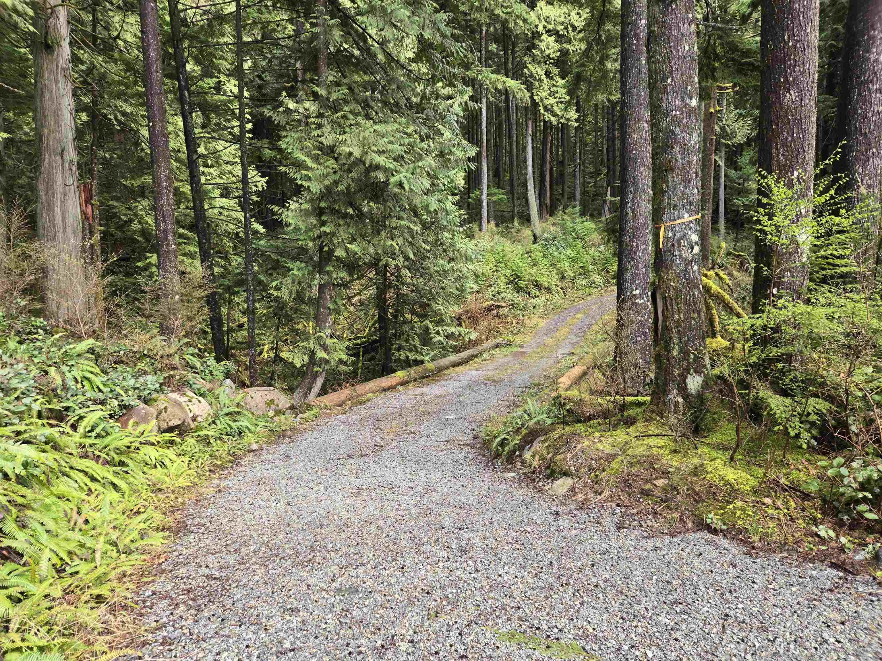 Lot 4 Williams Landing