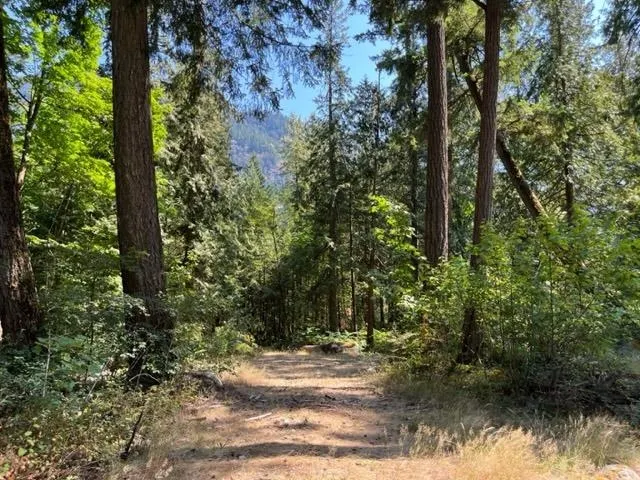 19 19743 Foster Road