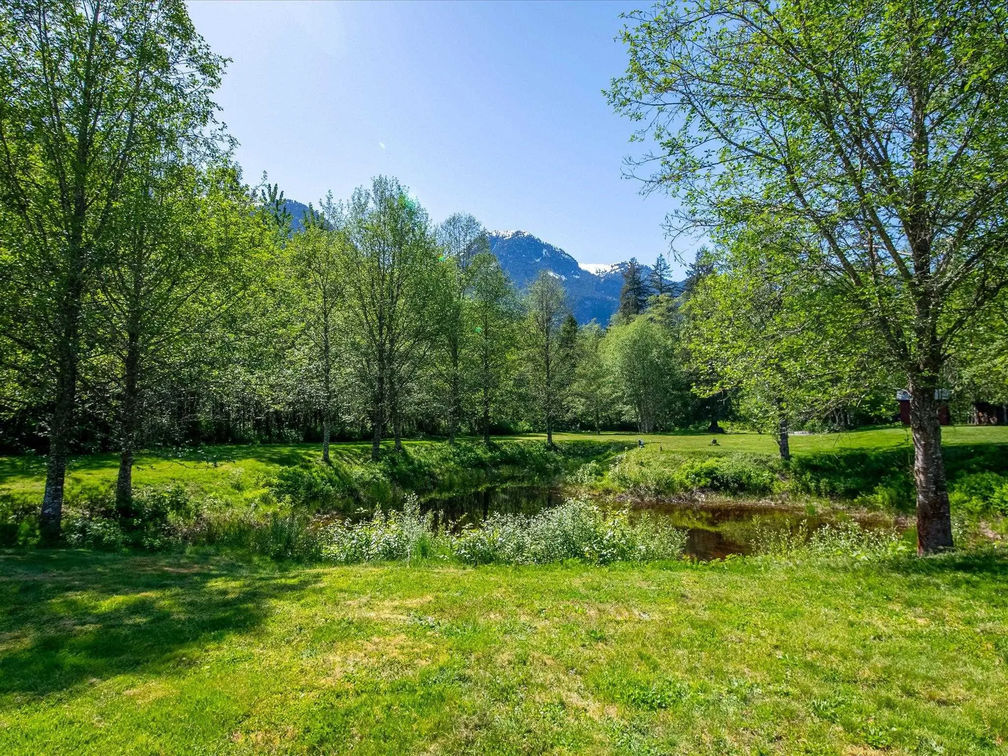 540 Doghaven Lane