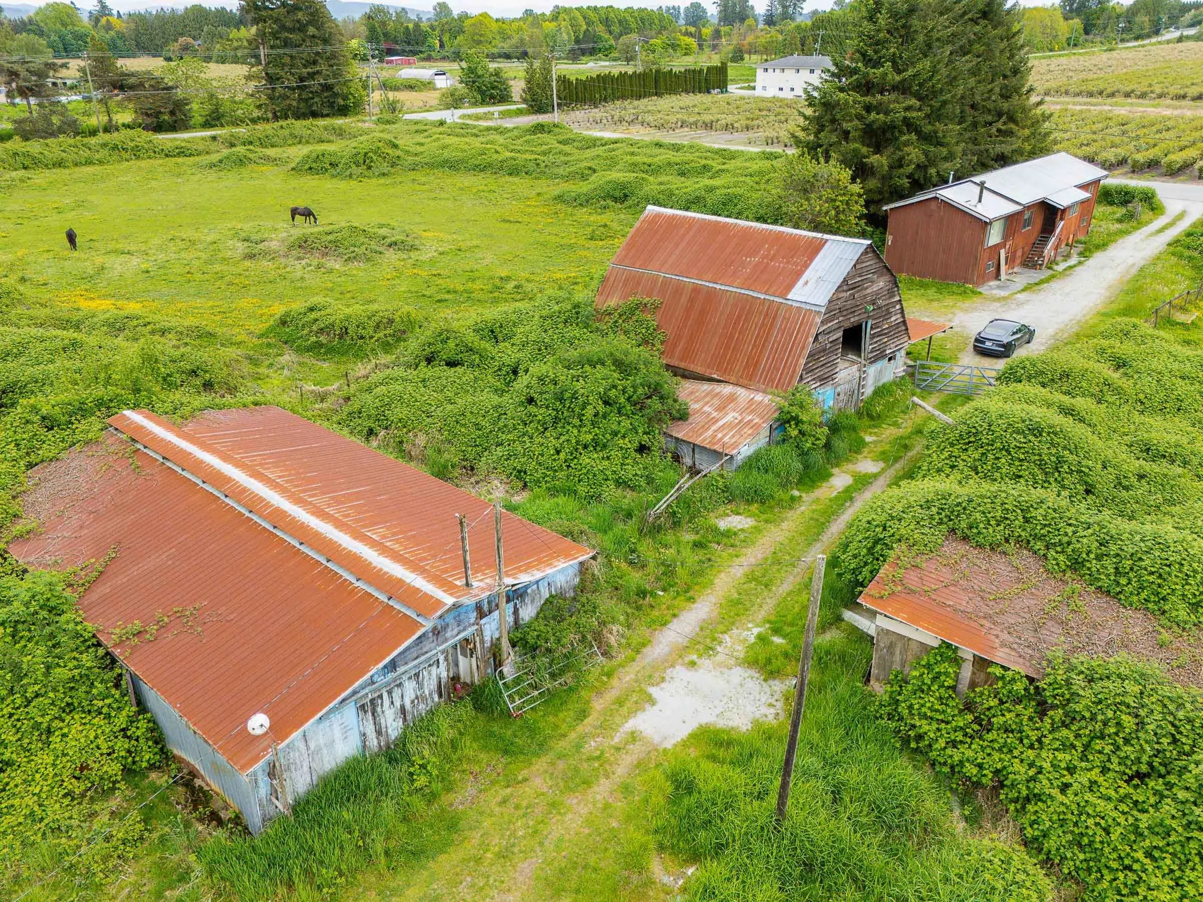 19141 Mcquarrie Road
