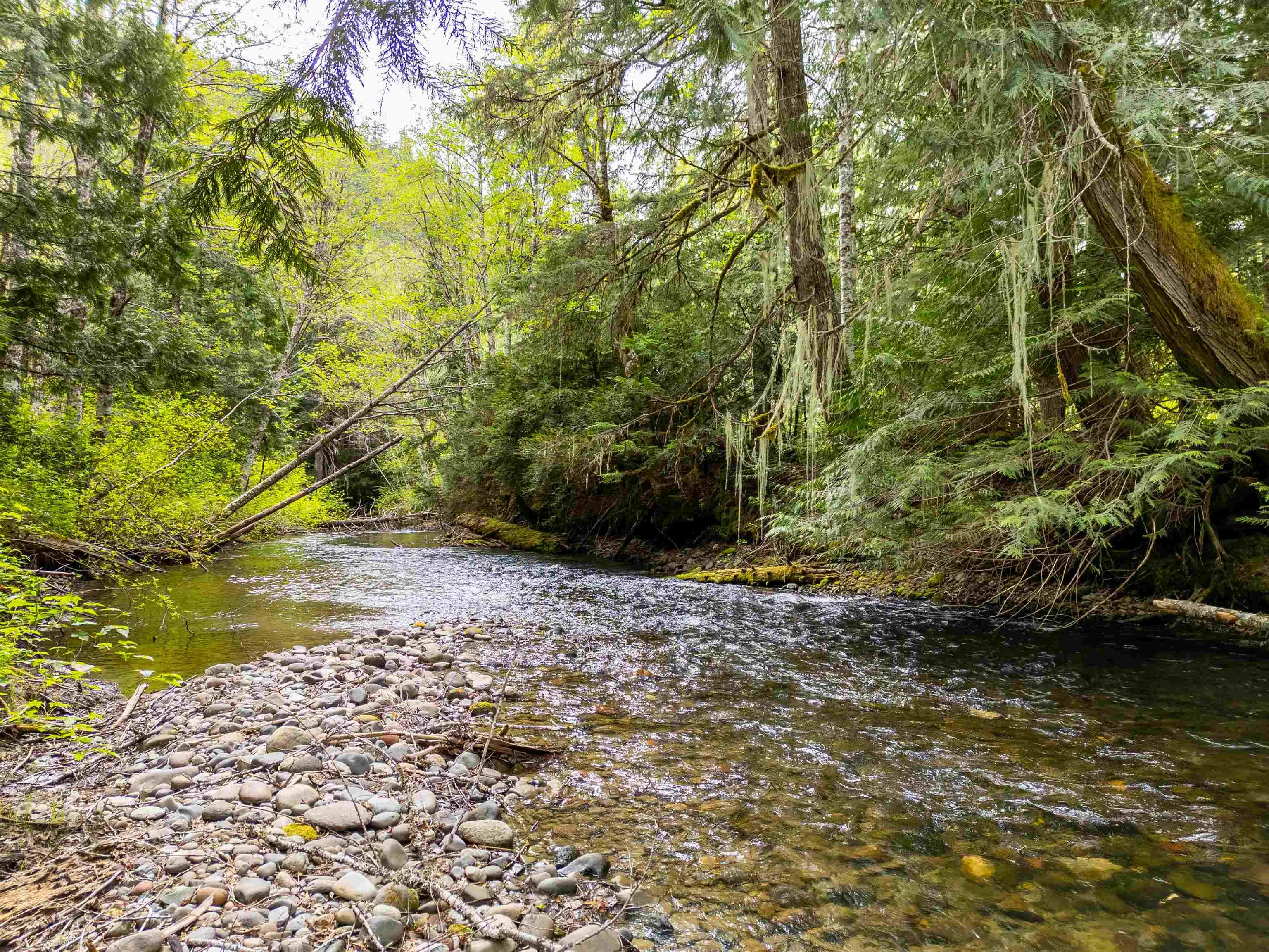 DL 3559 Hwy 99