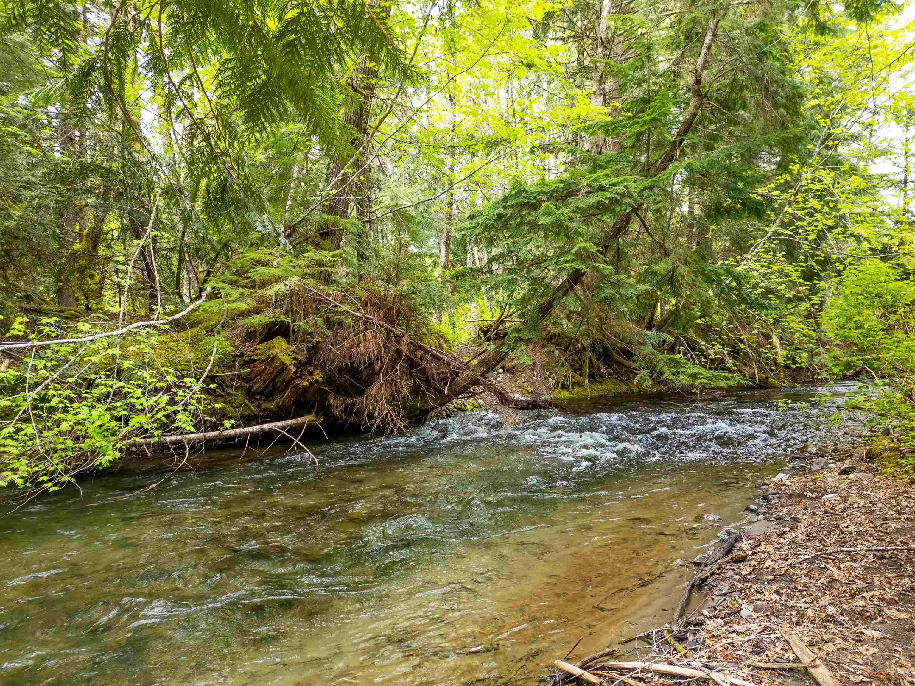 DL 3559 Hwy 99
