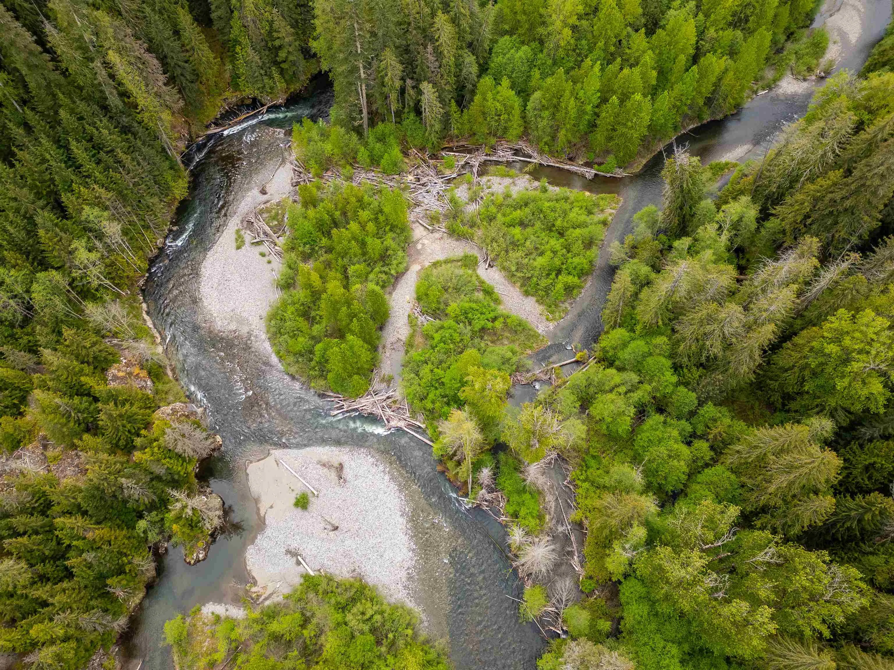 DL 3559 Hwy 99