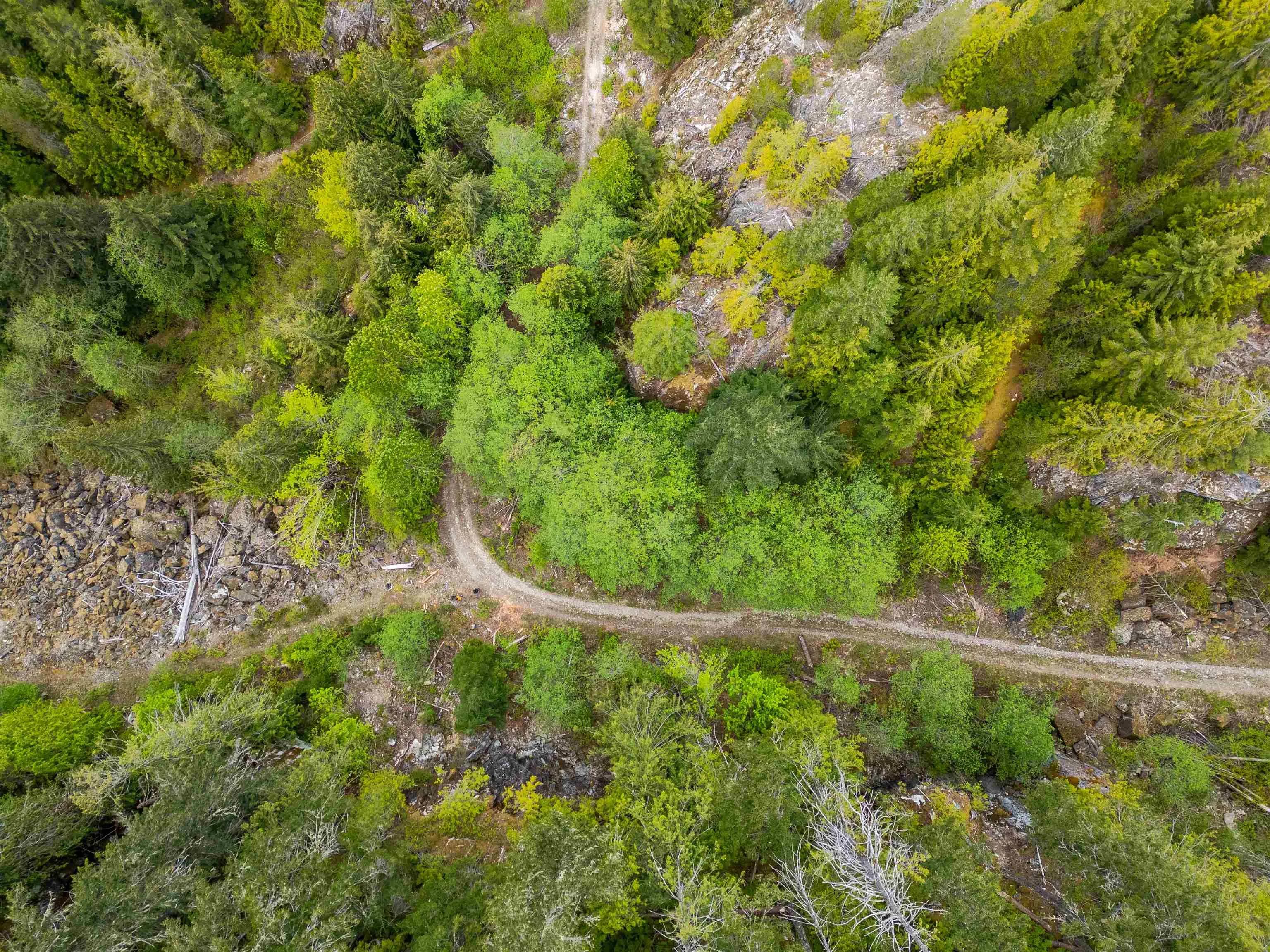 DL 3559 Hwy 99