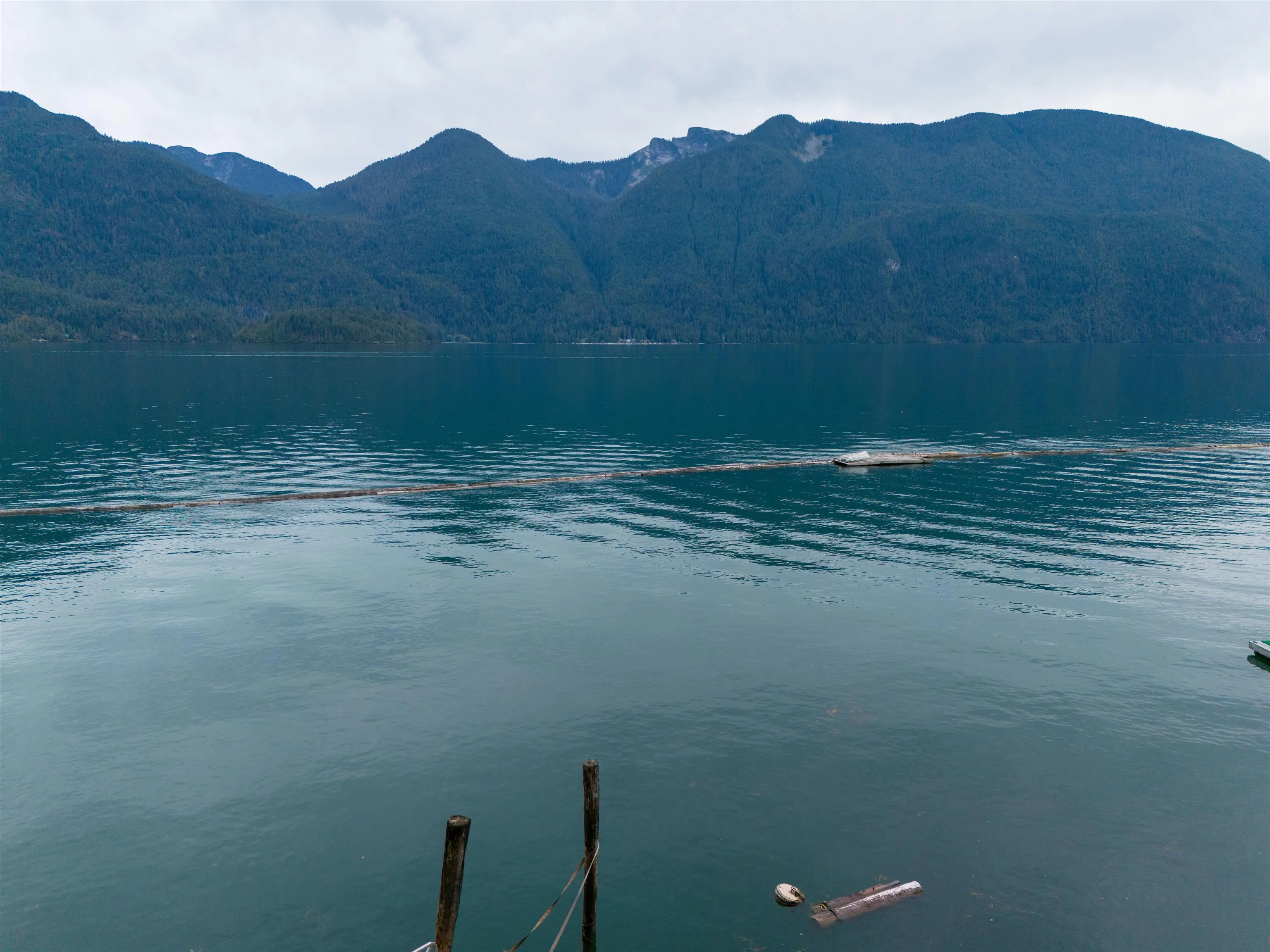 3 Seal Bay