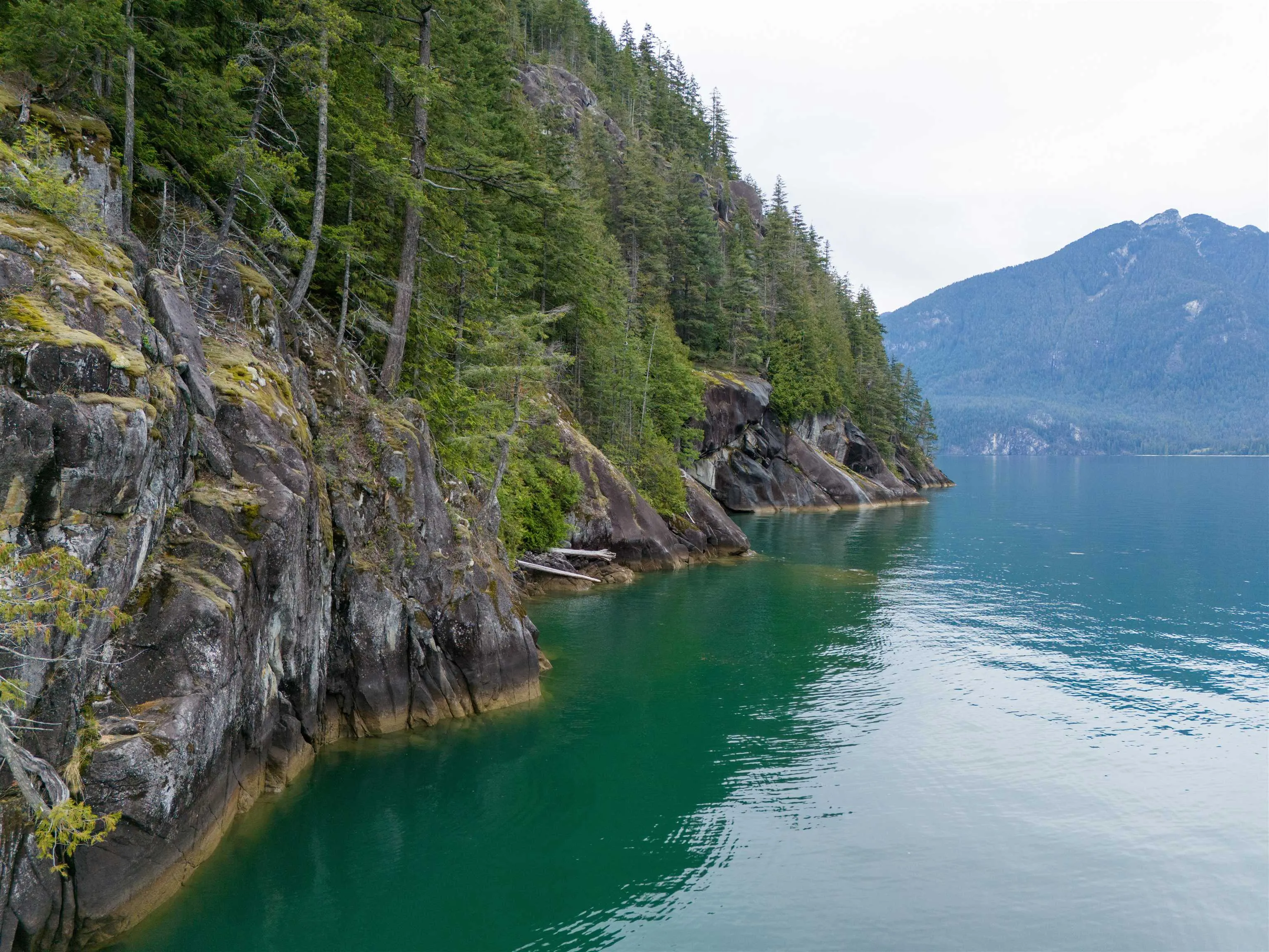 3 Seal Bay