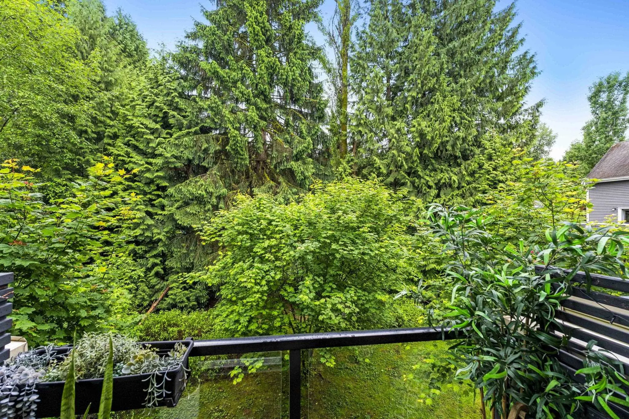 121 3382 Viewmount Drive