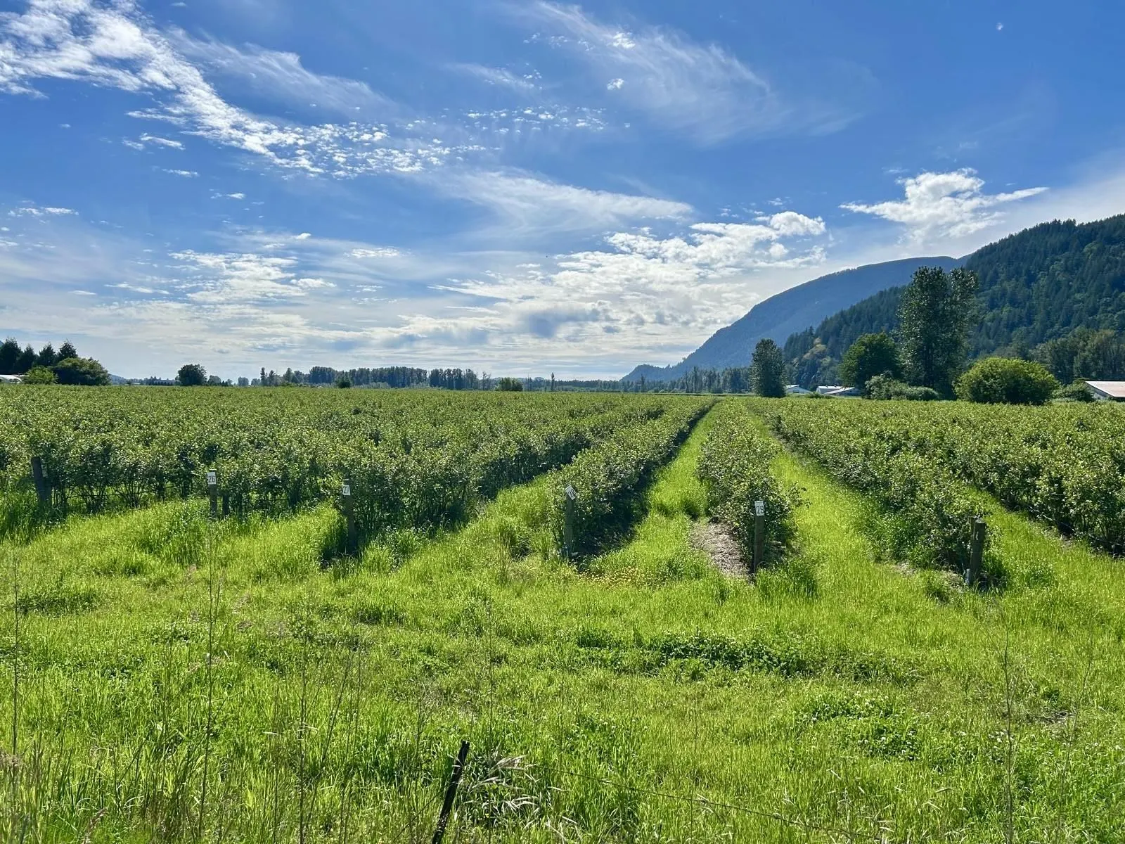 10AC Johnson Road