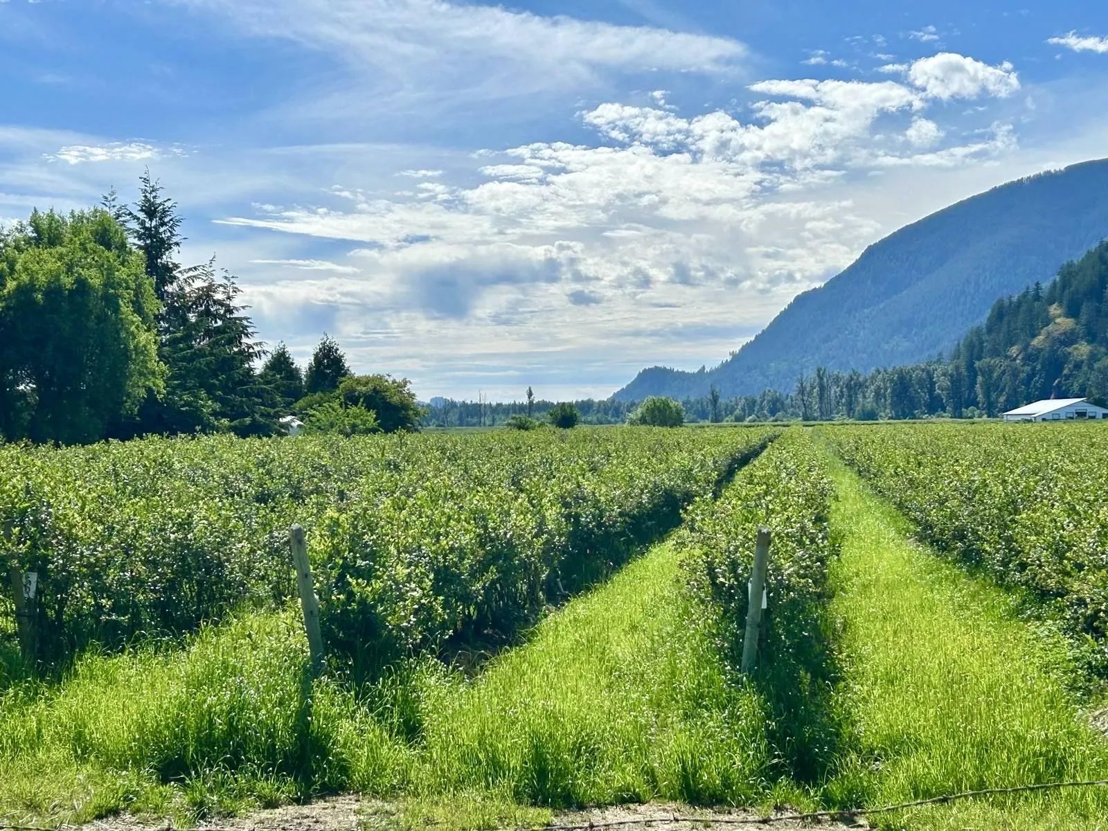 10AC Johnson Road