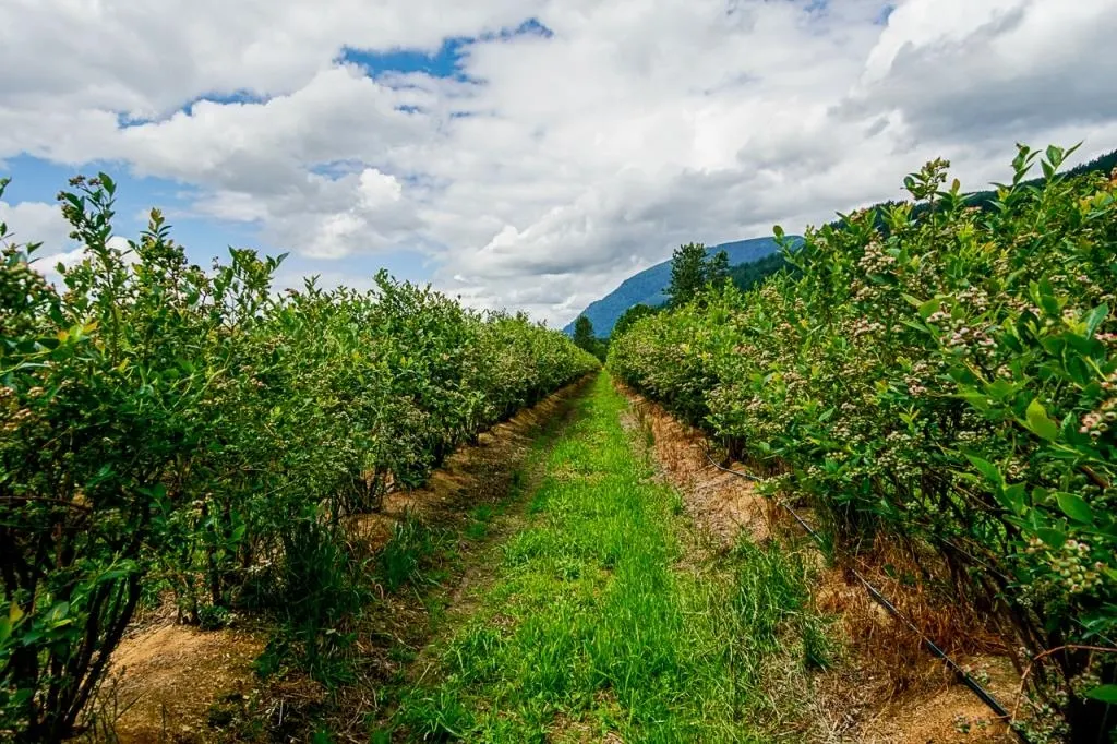 10AC Johnson Road