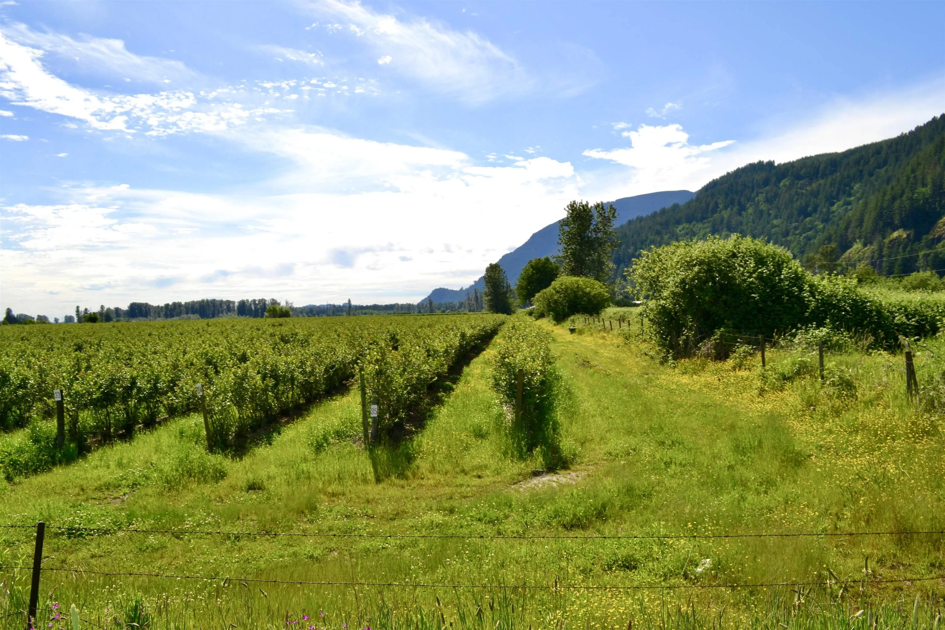 10AC Johnson Road