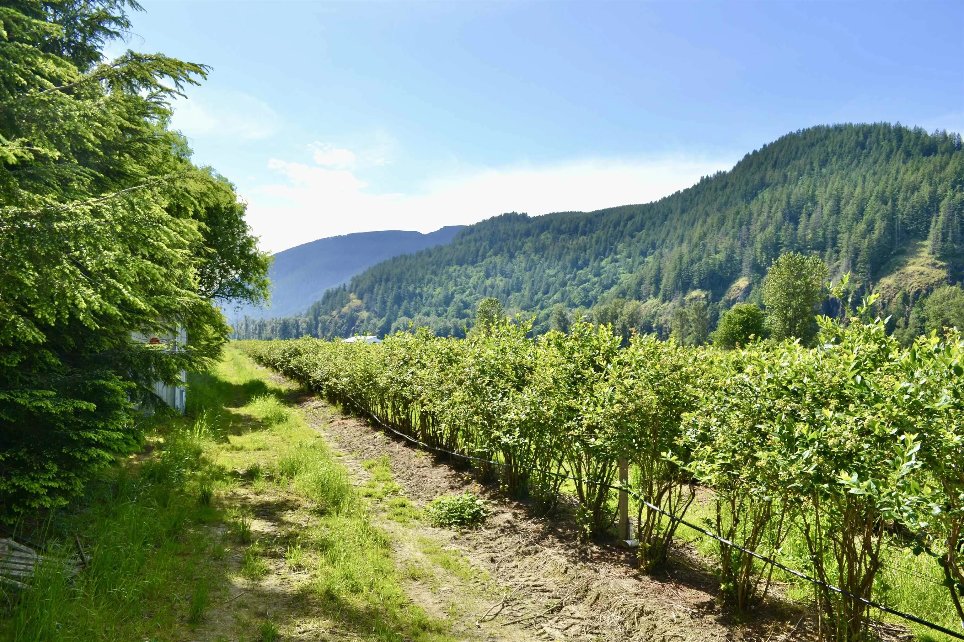 10AC Johnson Road