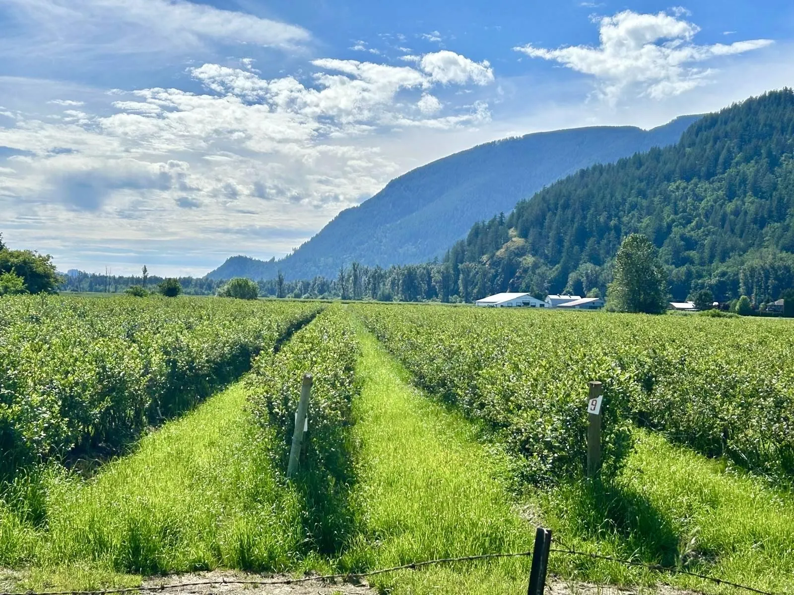 10AC Johnson Road