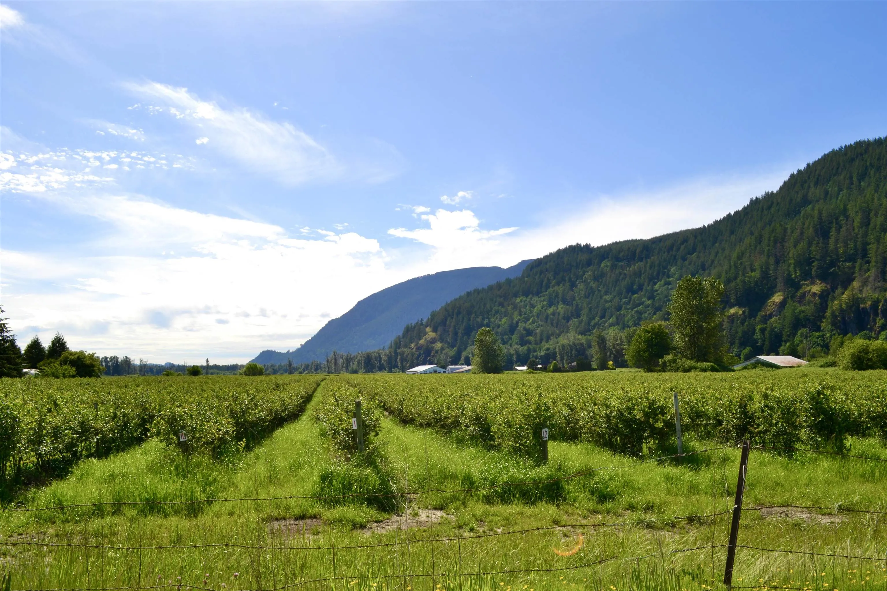 10AC Johnson Road