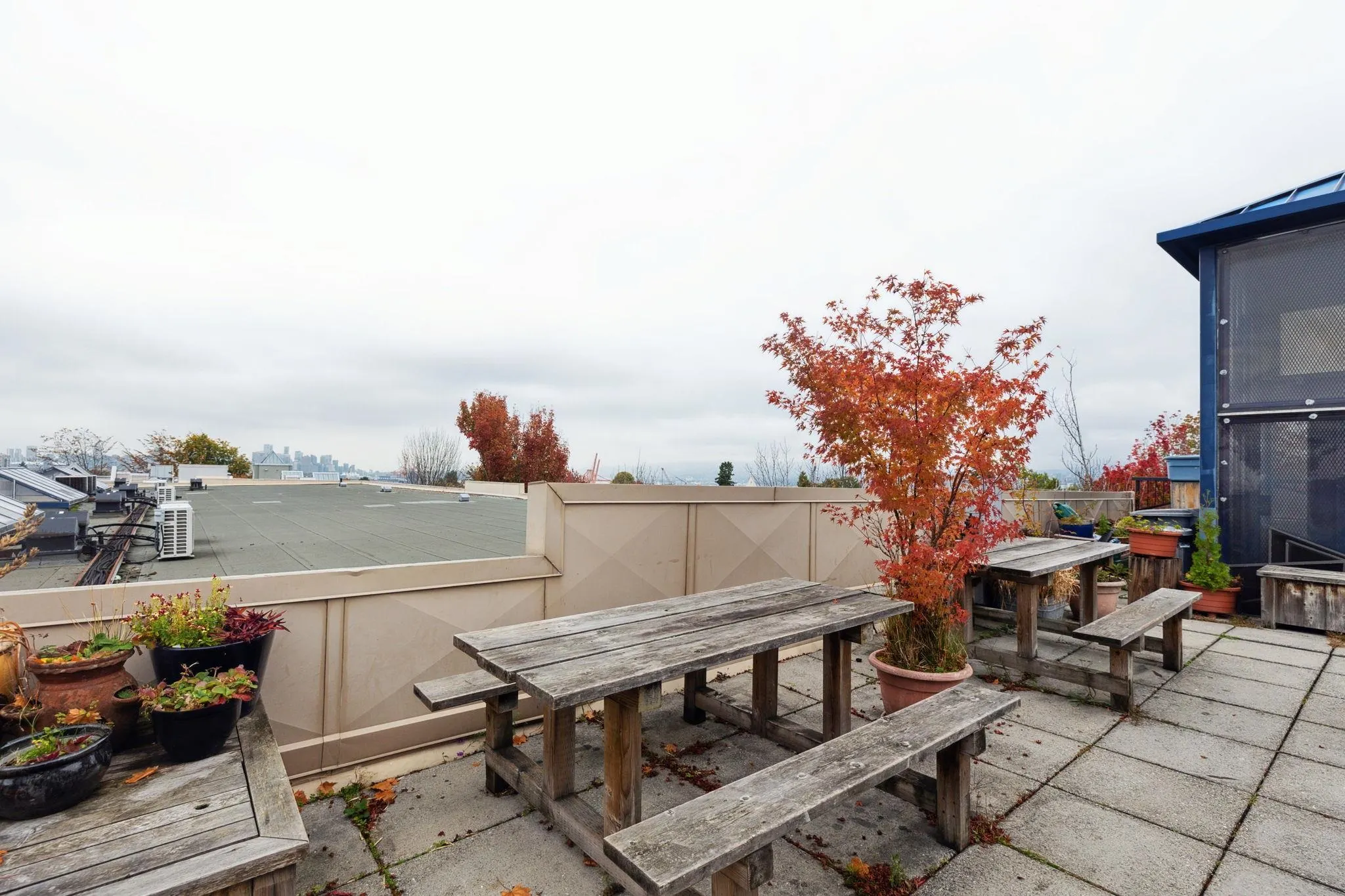 209 2556 E Hastings Street