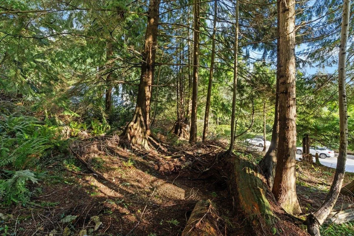 478 Craigmohr Drive