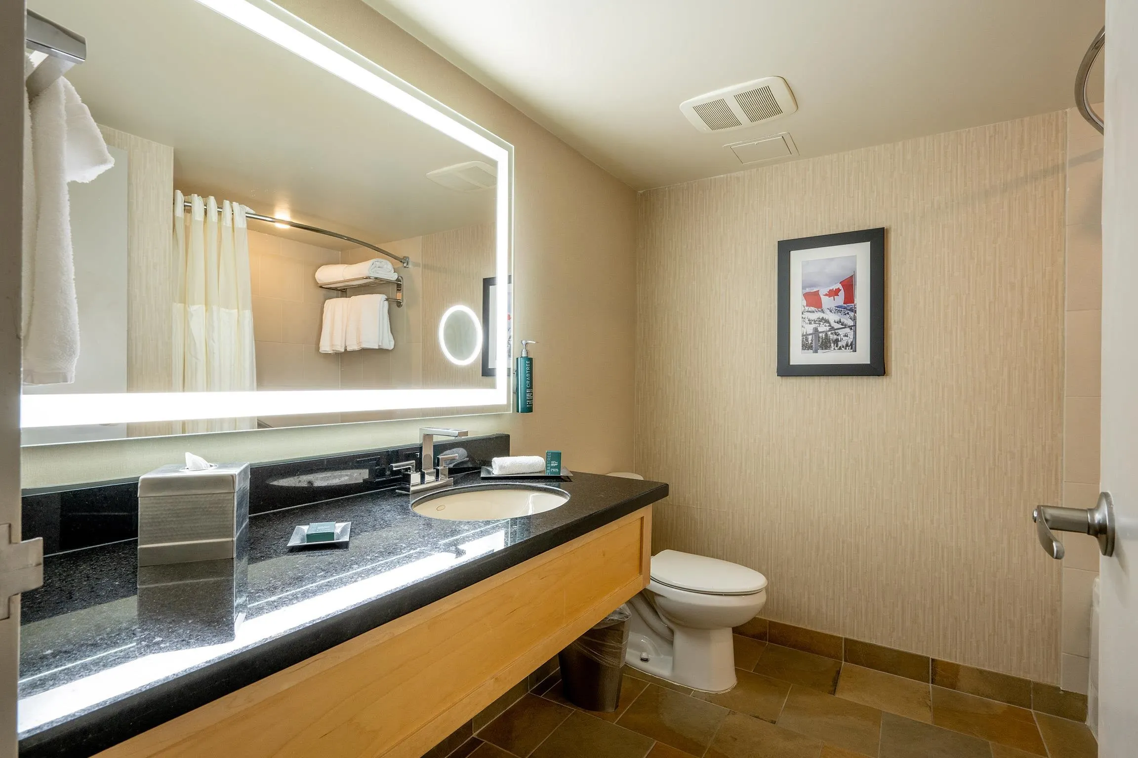 210/212 4050 Whistler Way