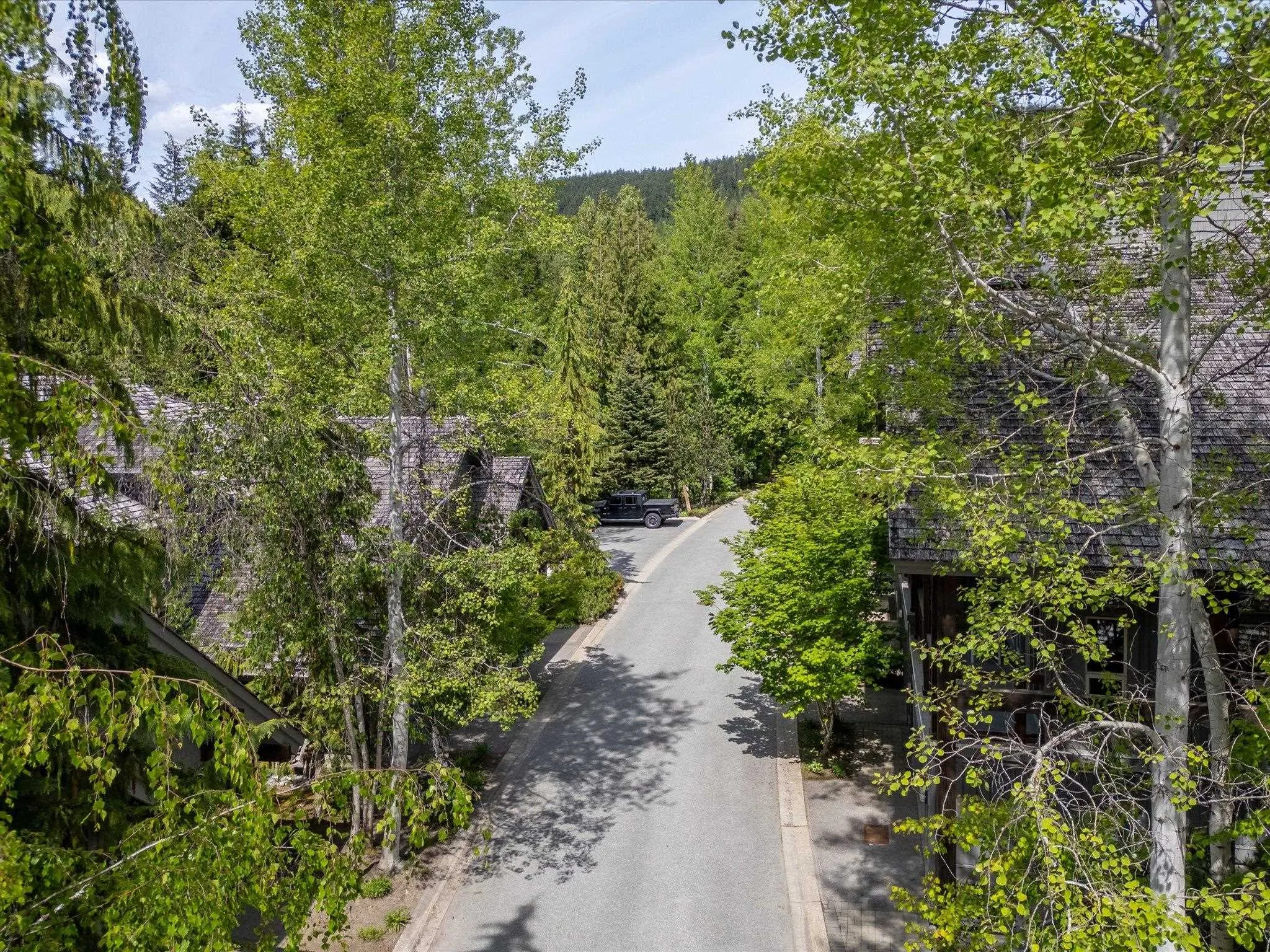 3 4668 Blackcomb Way