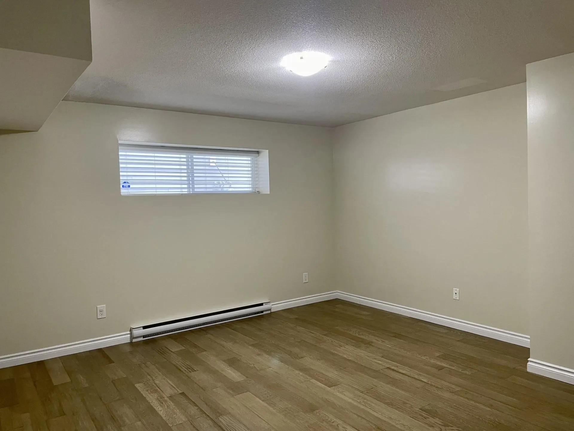 Basement 21662 91 Avenue