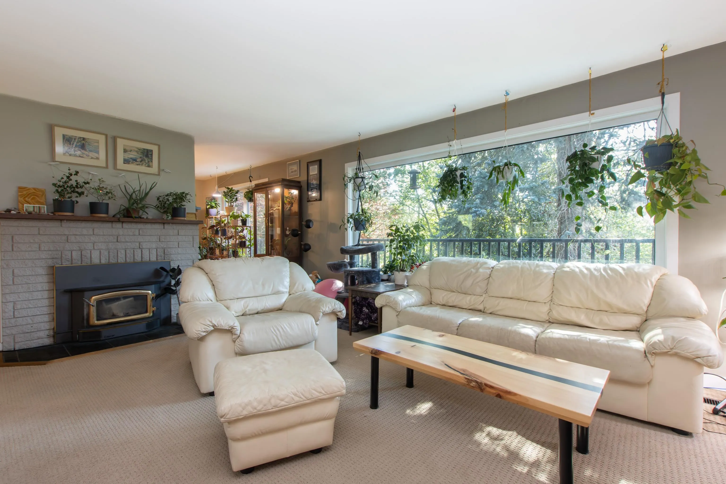 38063 Clarke Drive