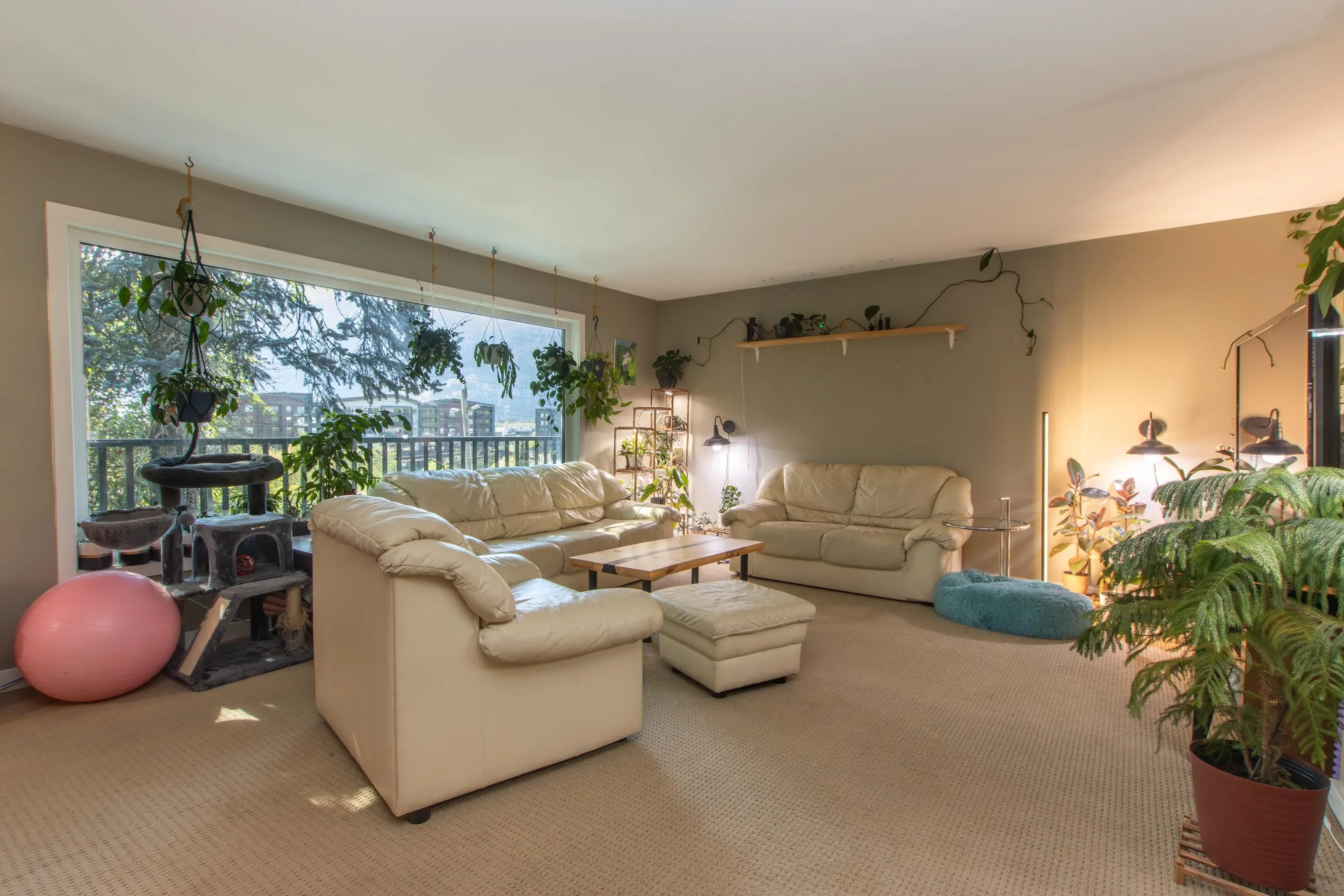 38063 Clarke Drive