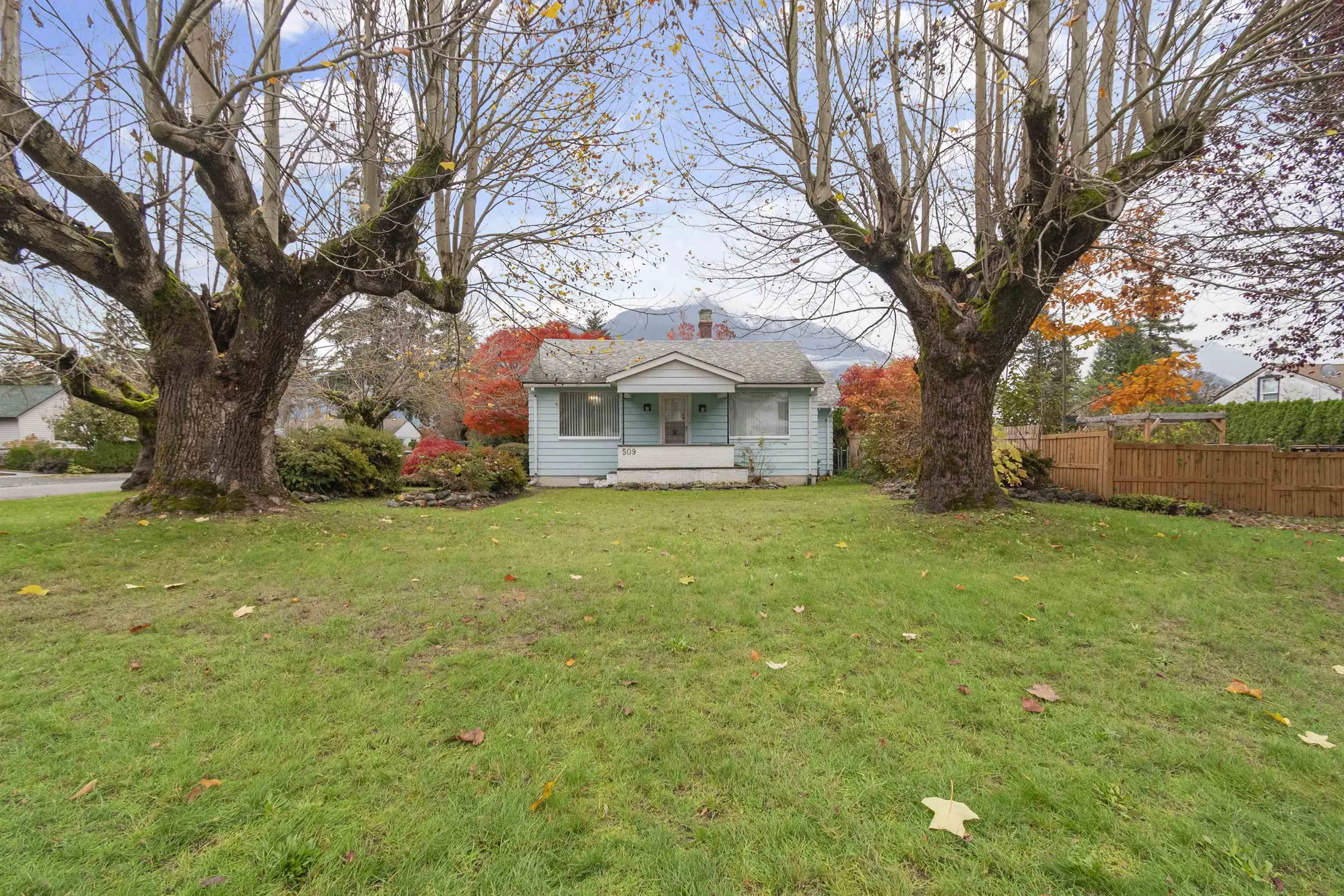 509 Fraser Avenue