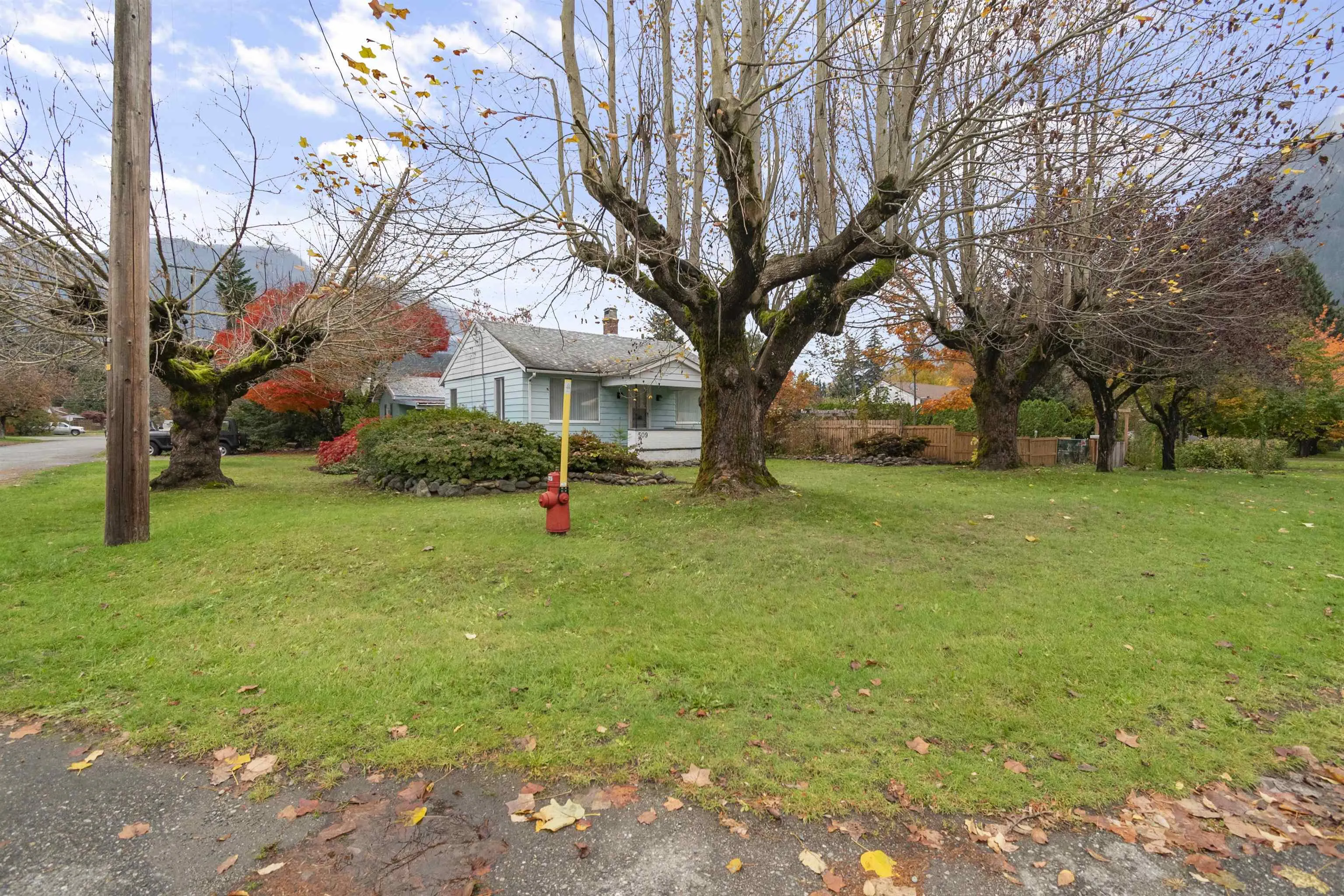 509 Fraser Avenue
