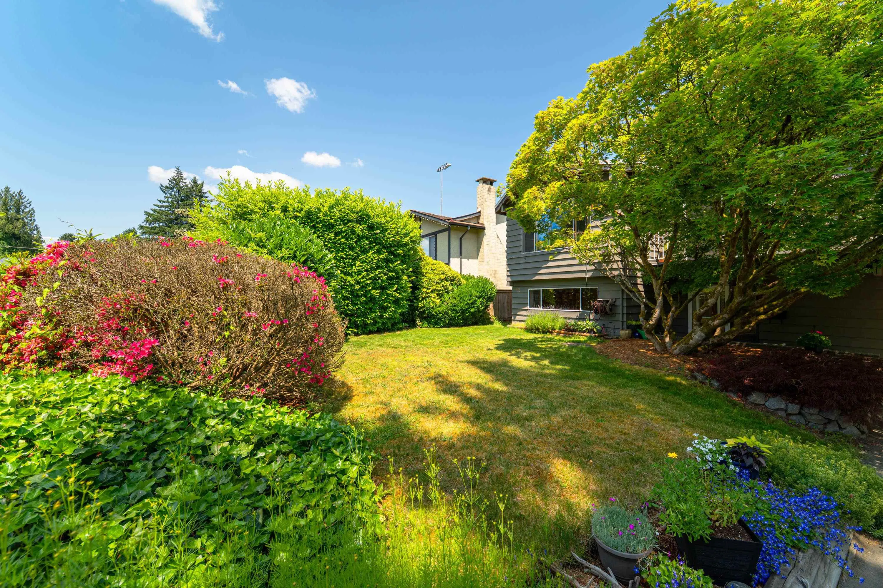 3138 Terra Court