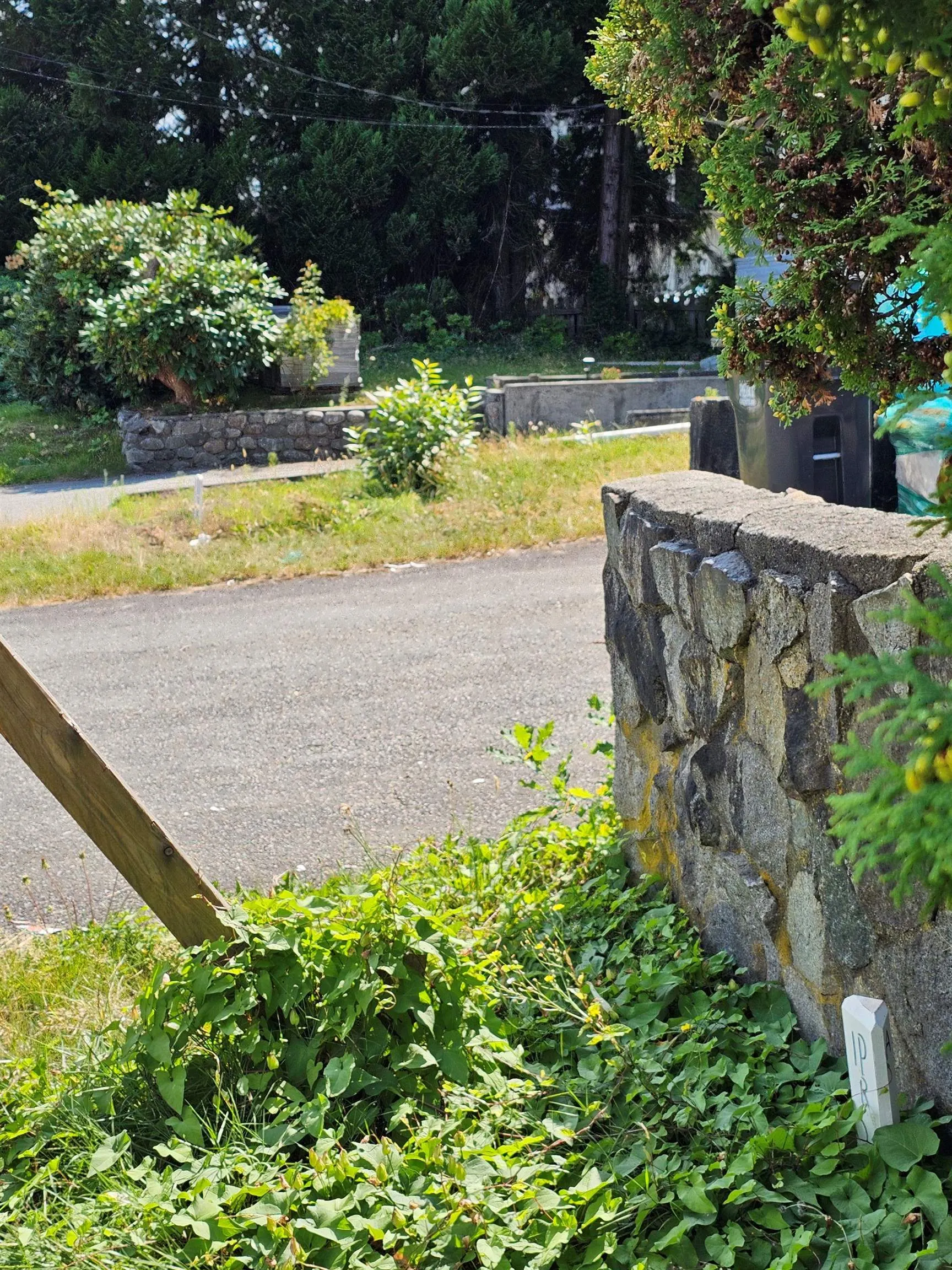 1568 Pitt River Road