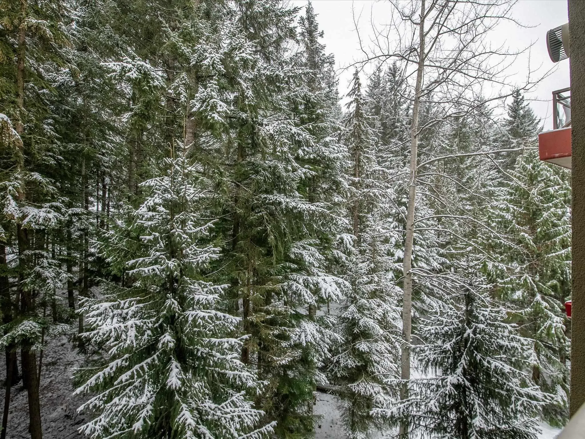 769 4090 Whistler Way