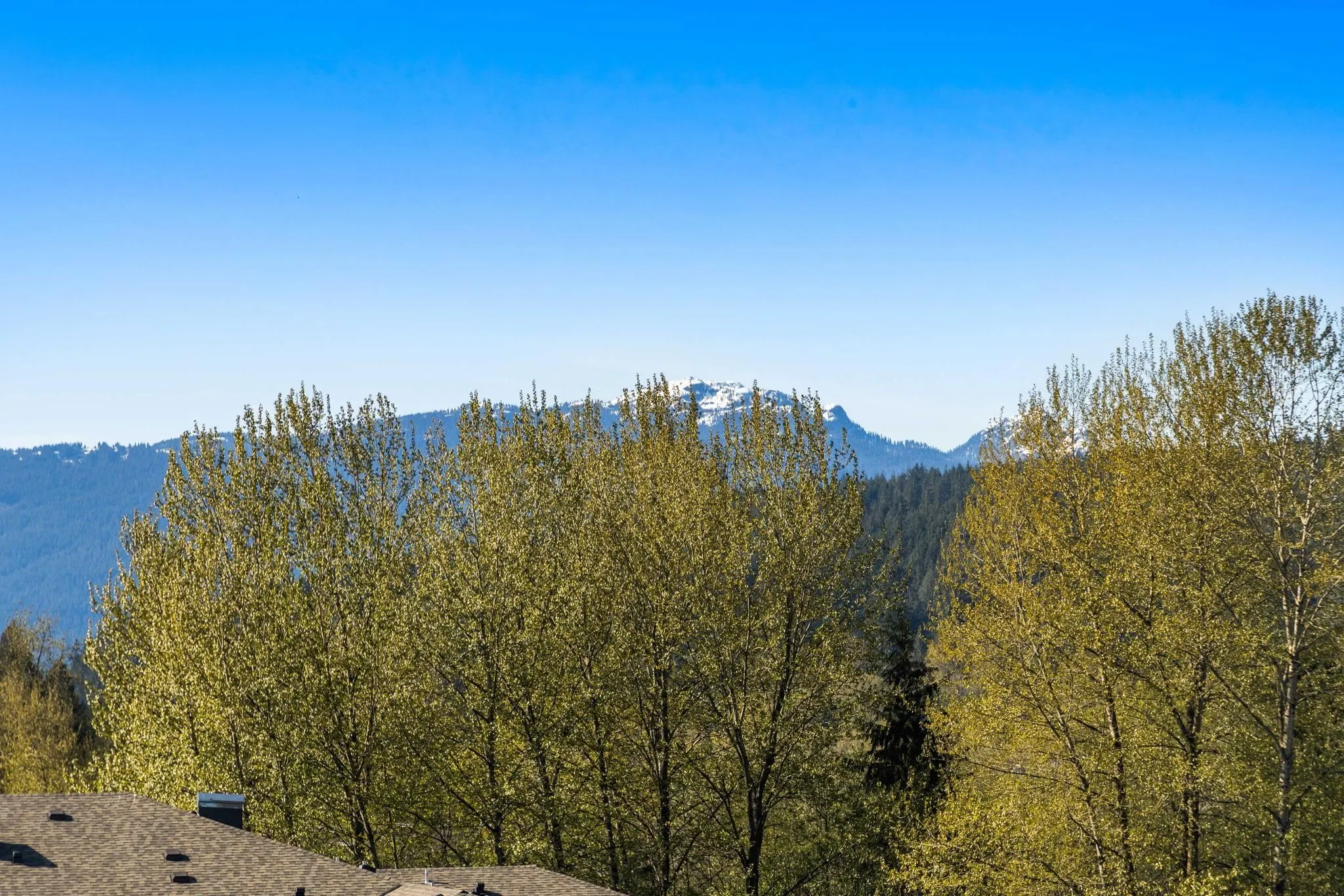 706 651 Nootka Way