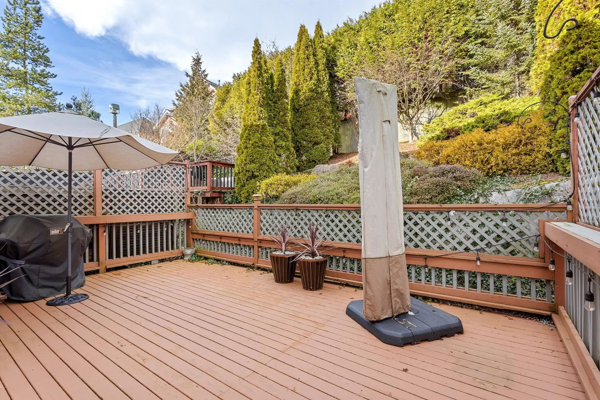 119 Forest Park Way