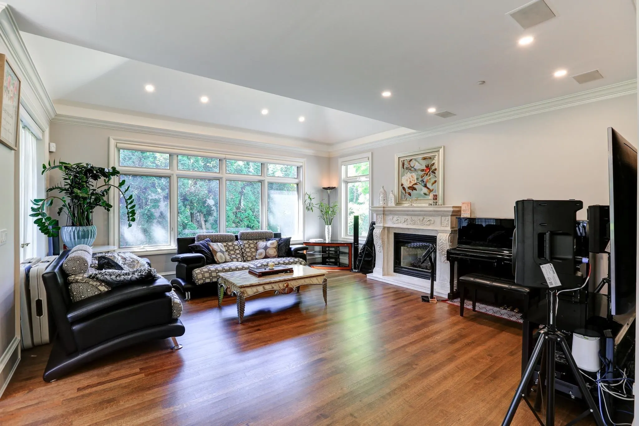4538 Angus Drive