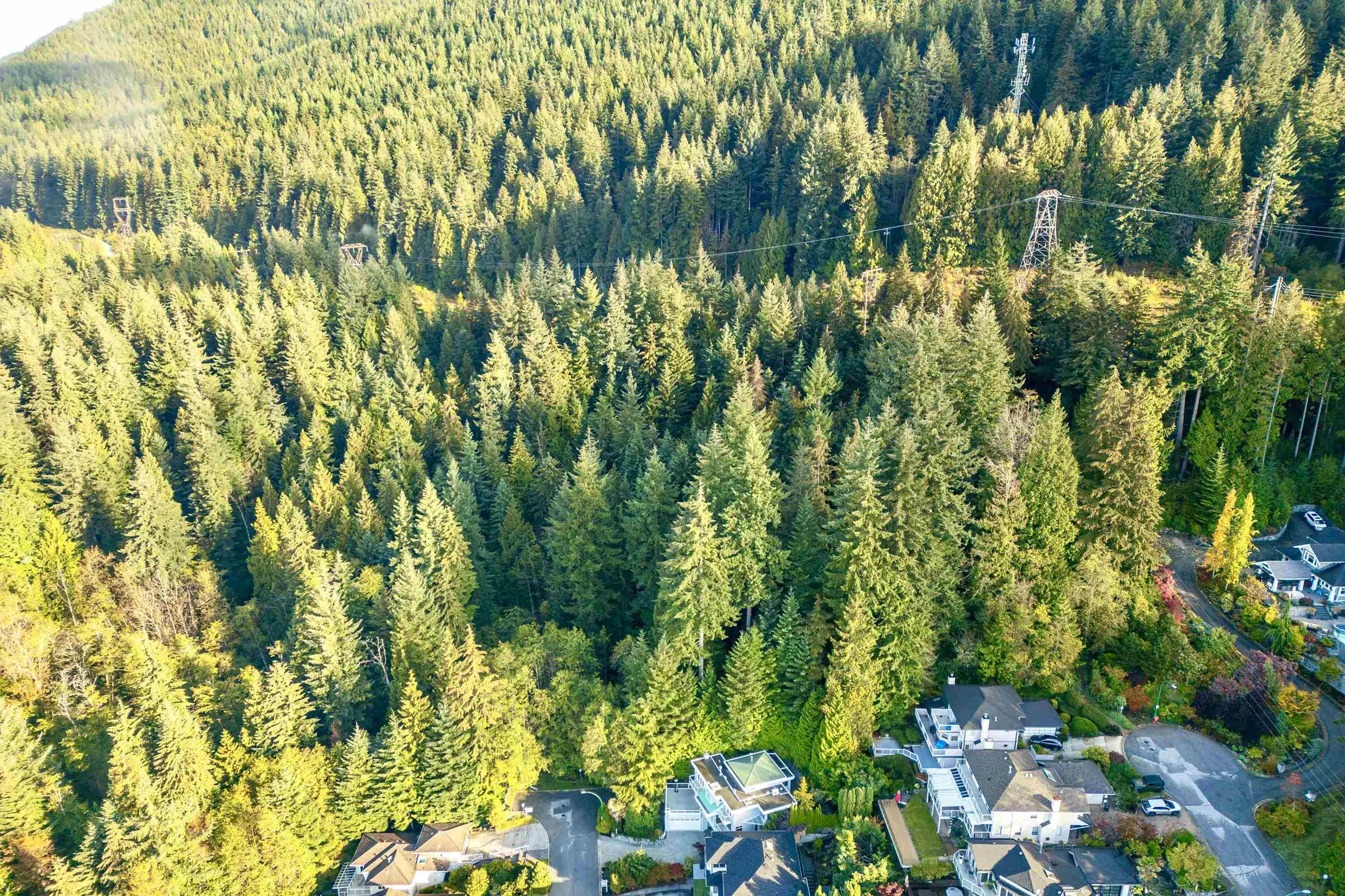 4500 St. Pauls Avenue - Lot A