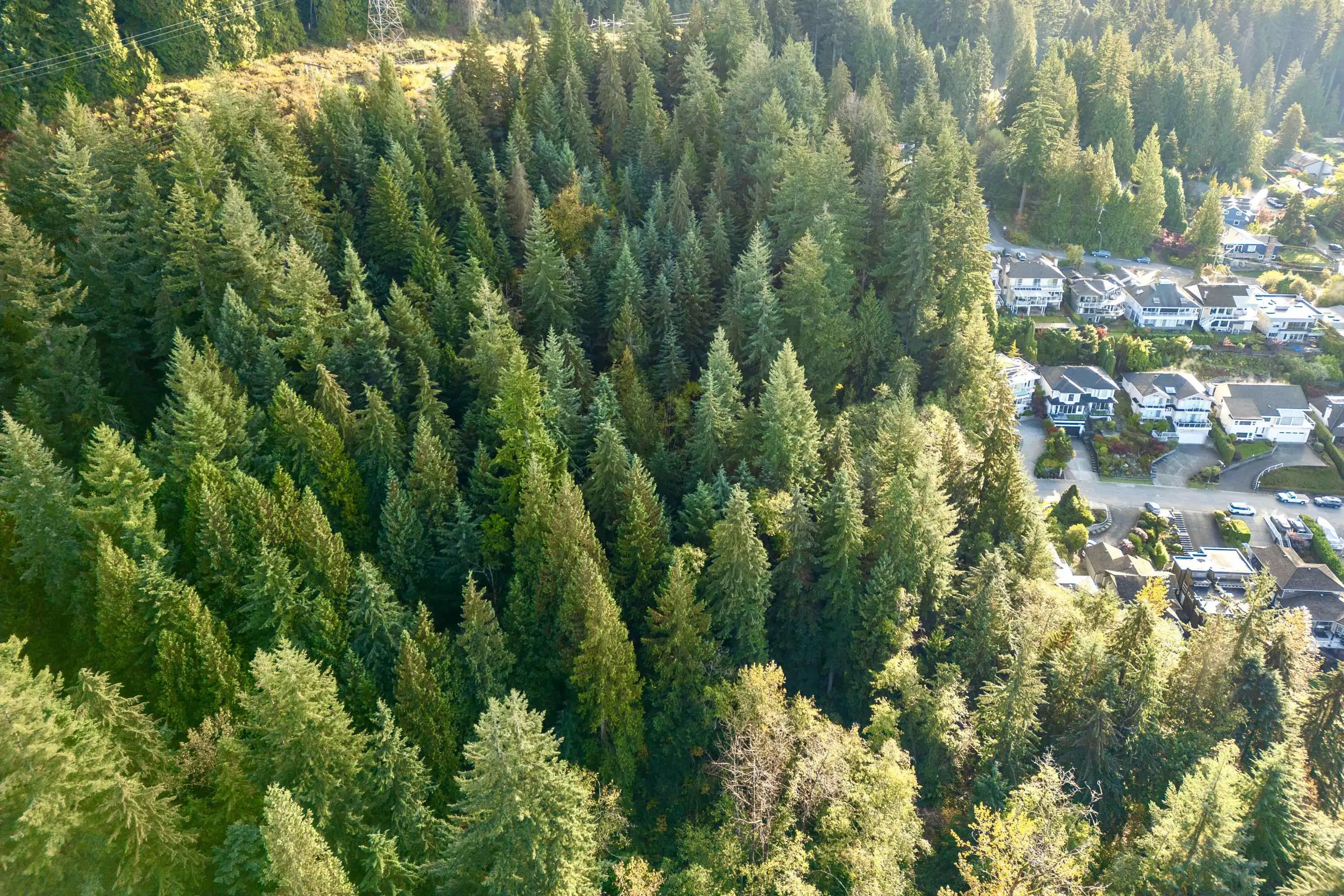 4500 St. Pauls Avenue - Lot A