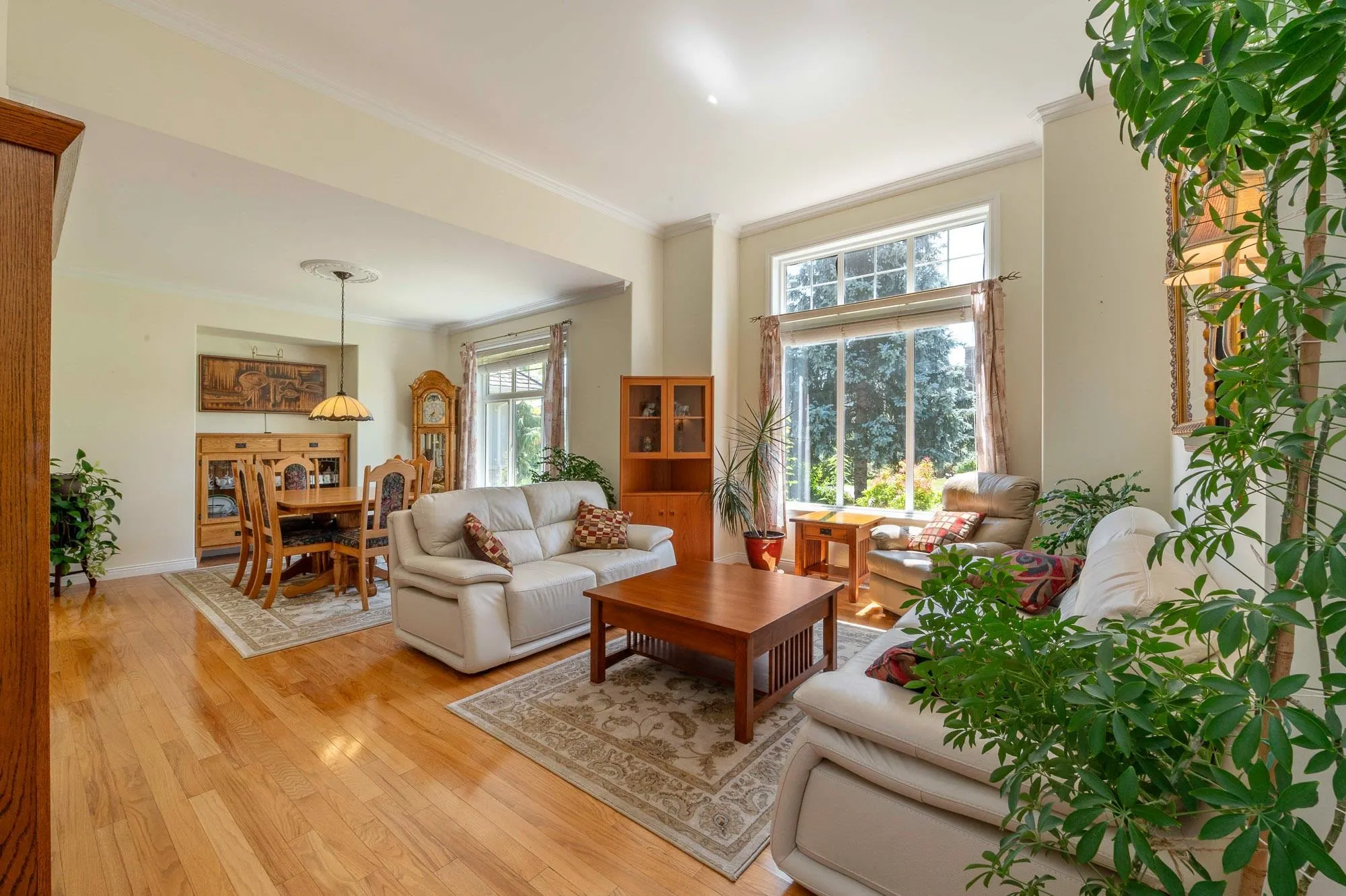 35311 Hibiscus Court
