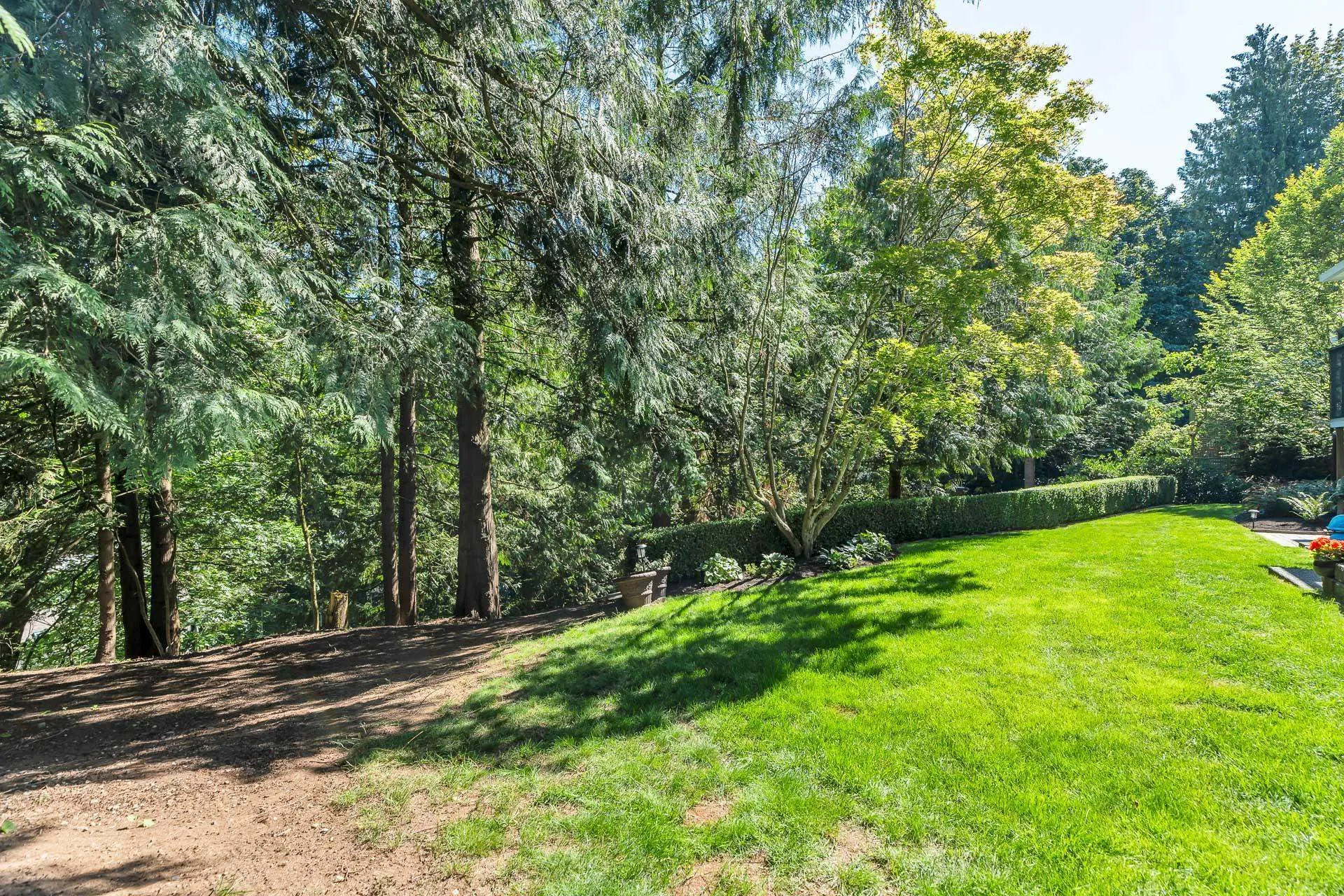 34951 Orchard Drive