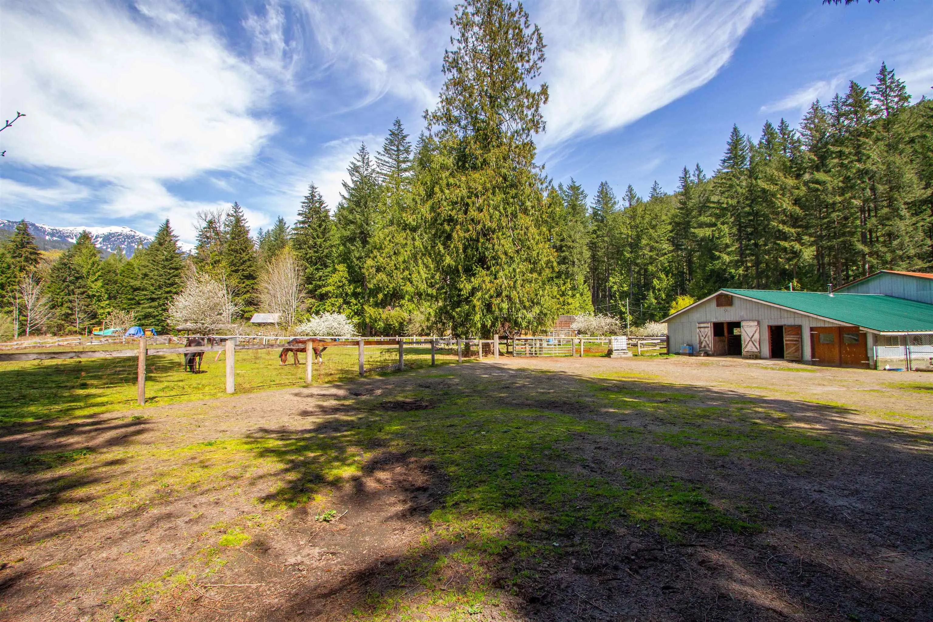 8101 Paradise Valley Road