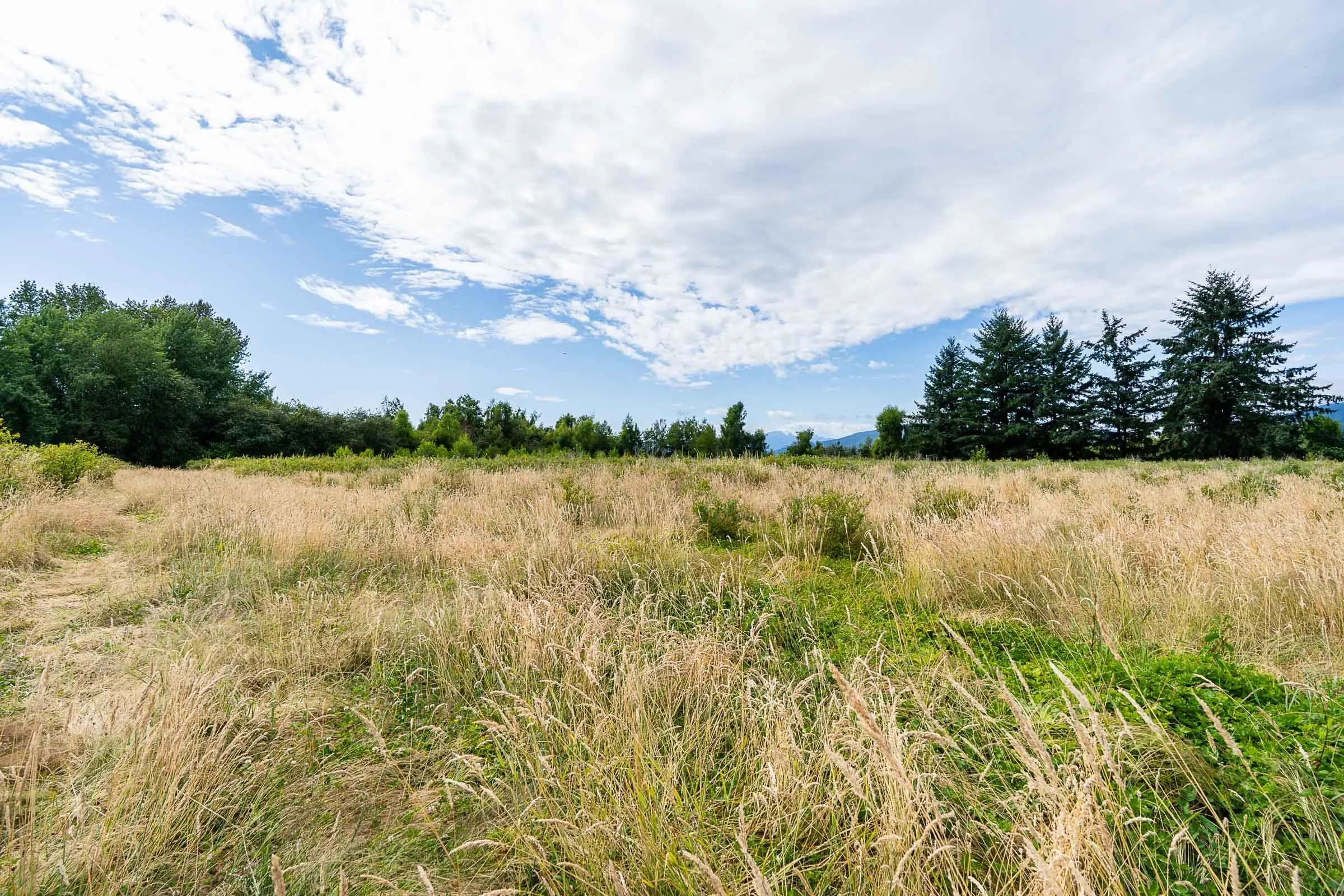 17915 Ford Detour Road
