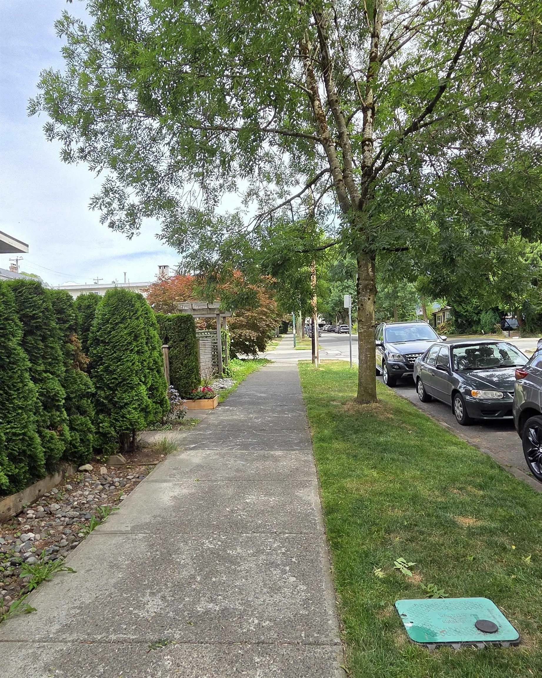 1761 William Street