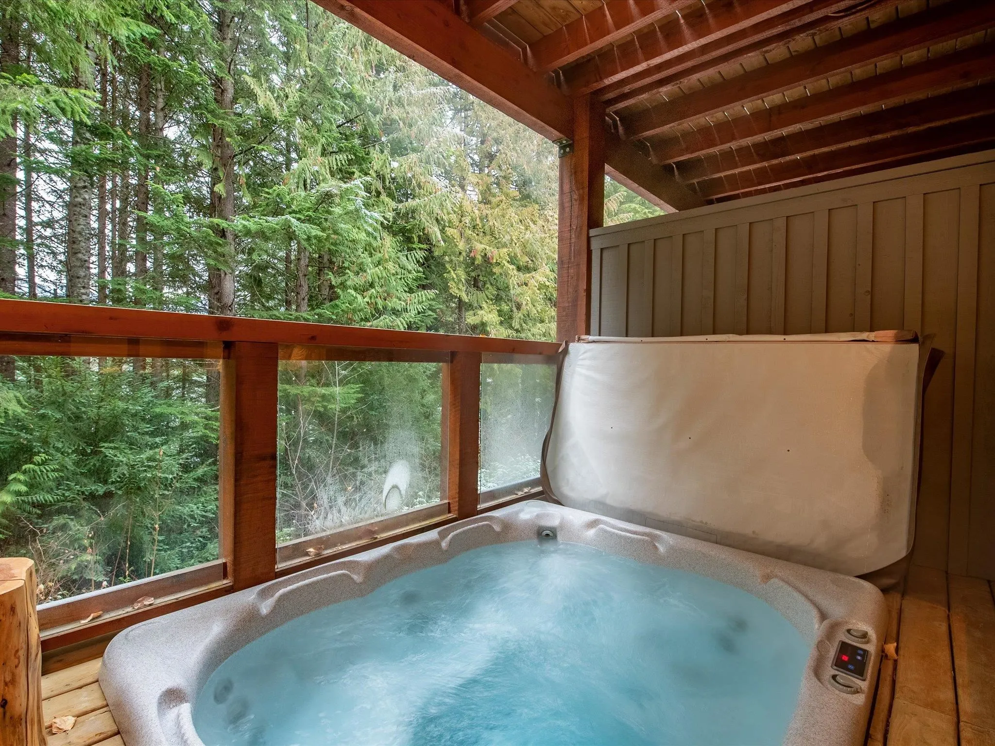 1 4668 Blackcomb Way