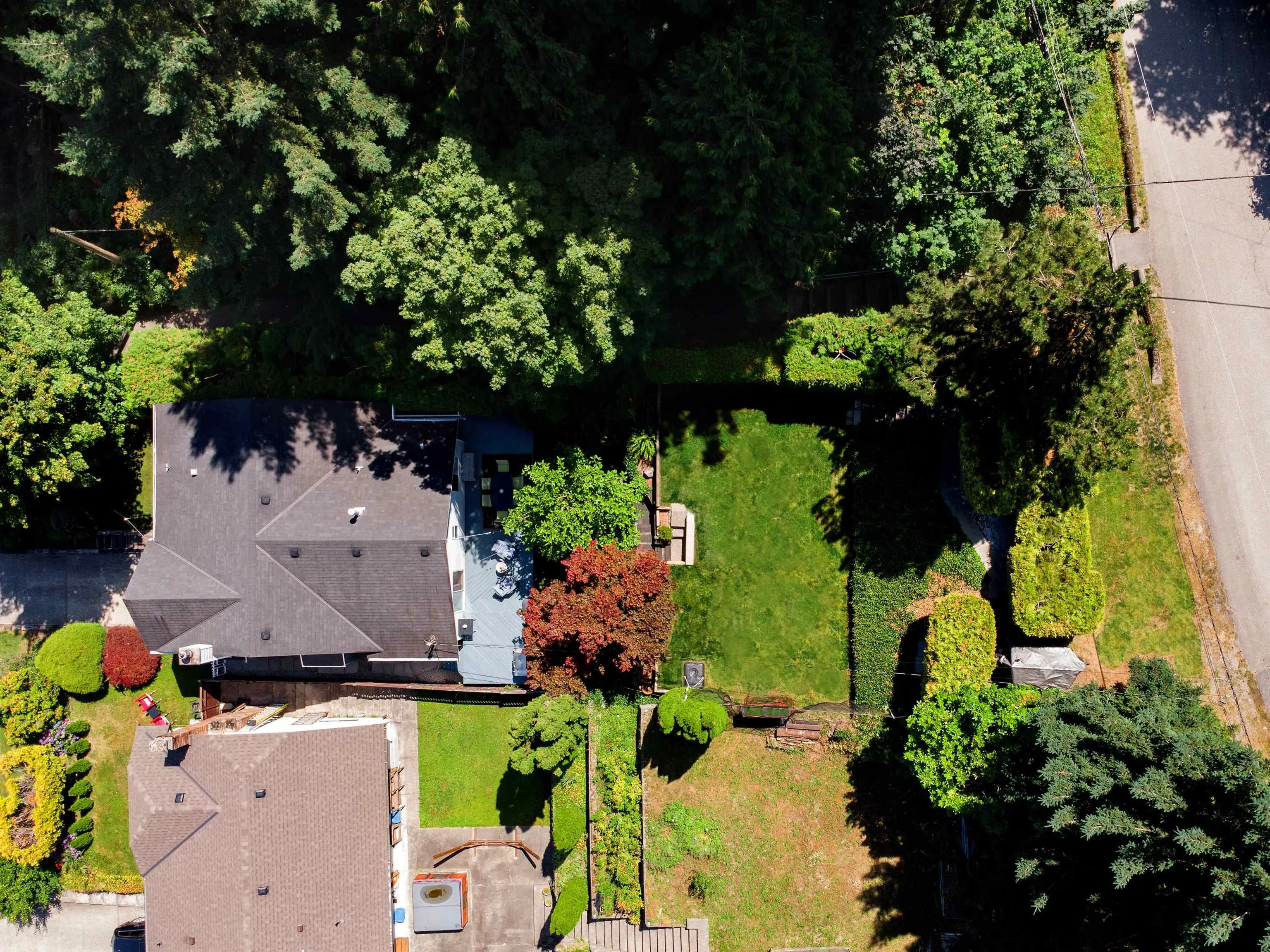 1119 Cecile Drive