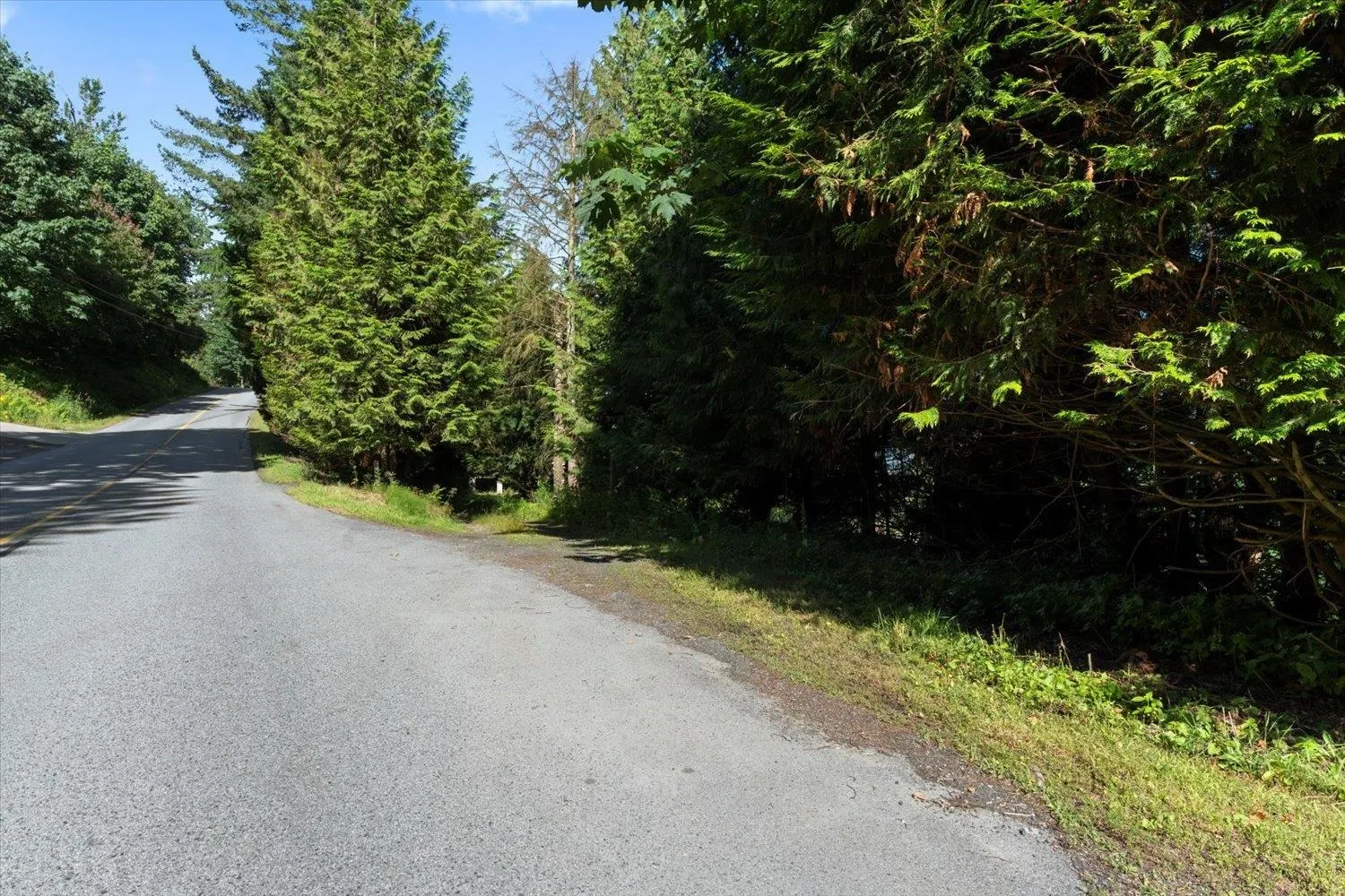 43590 Chilliwack Mountain Road