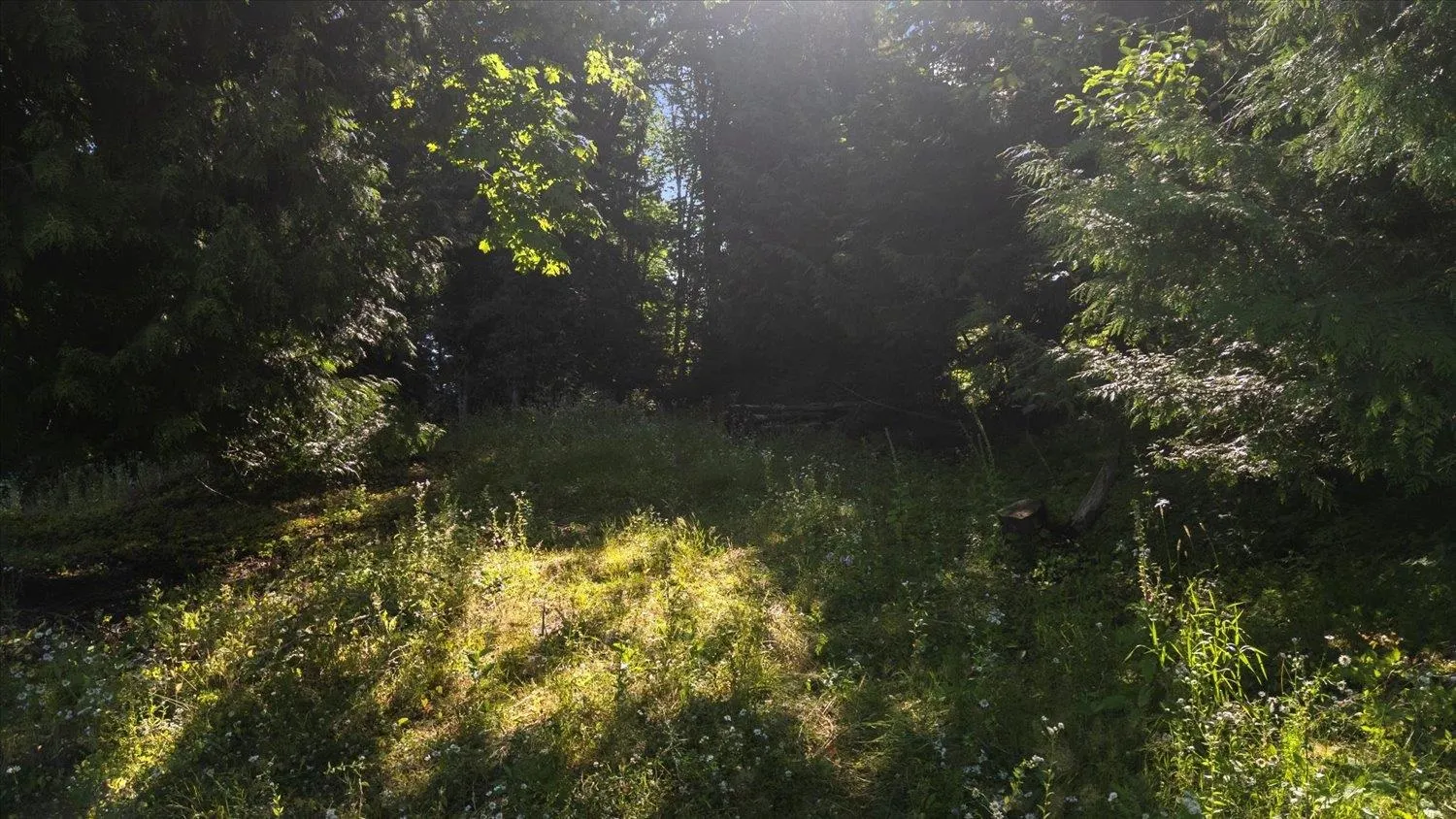 43590 Chilliwack Mountain Road