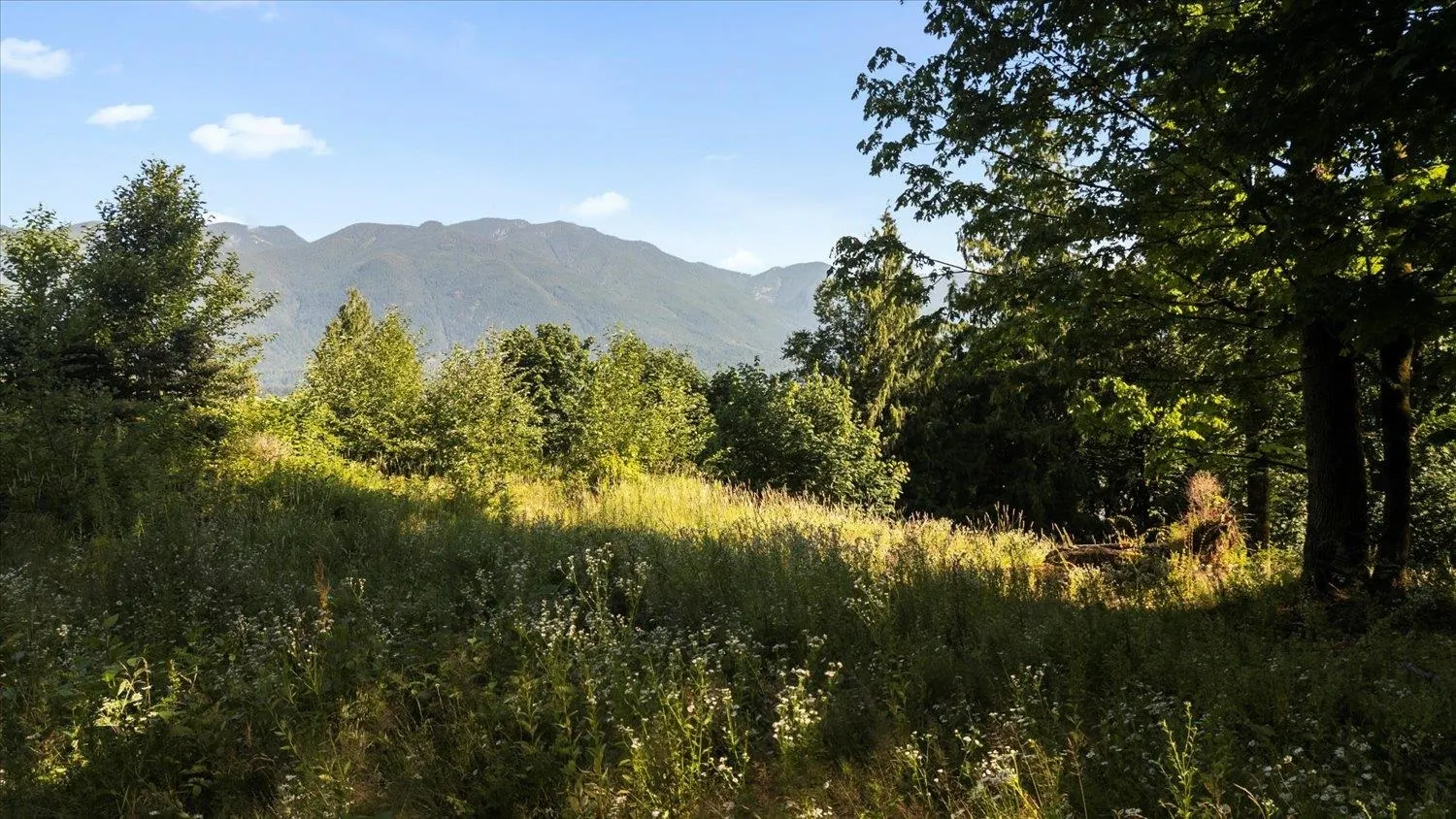 43590 Chilliwack Mountain Road