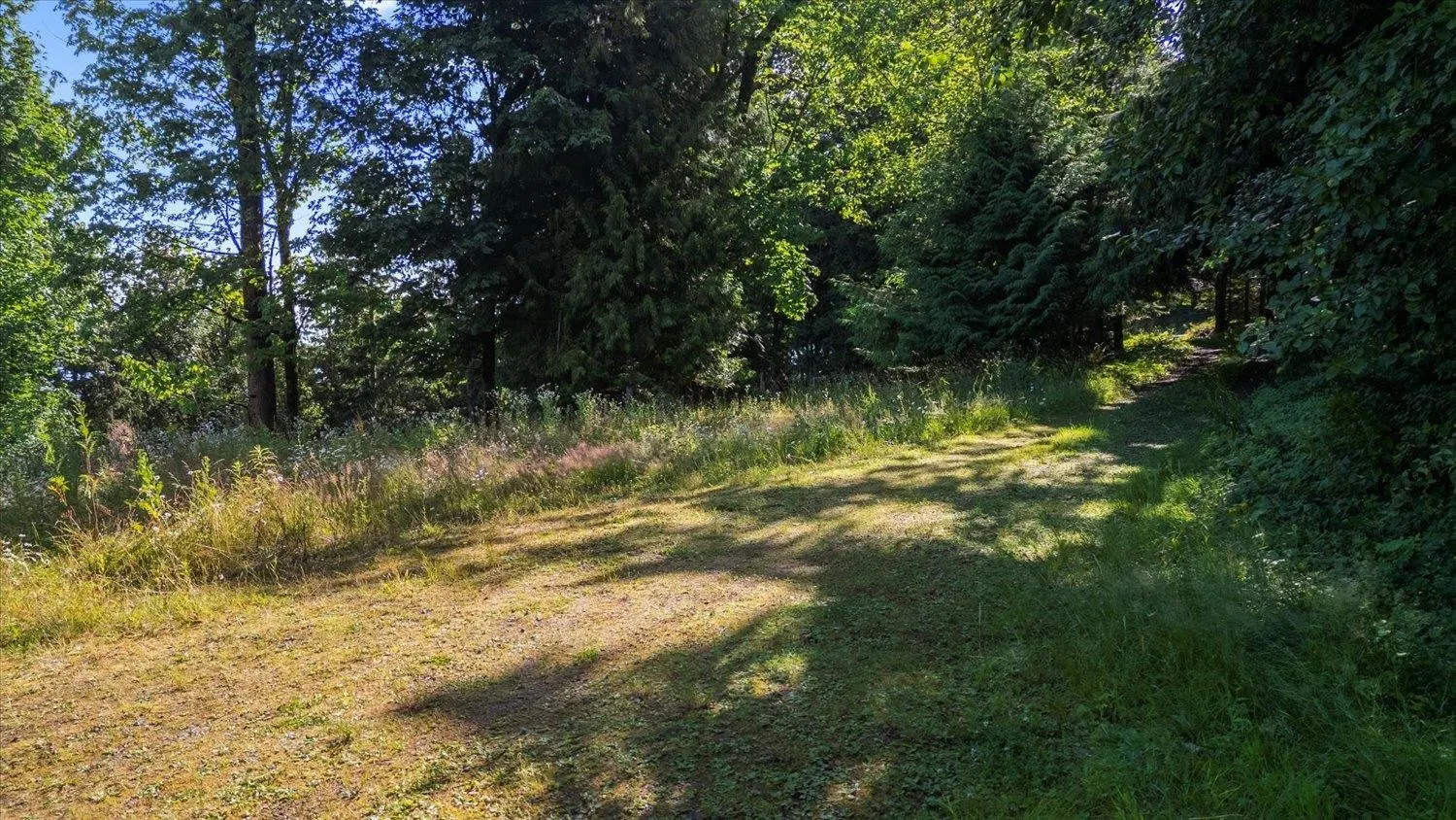 43590 Chilliwack Mountain Road