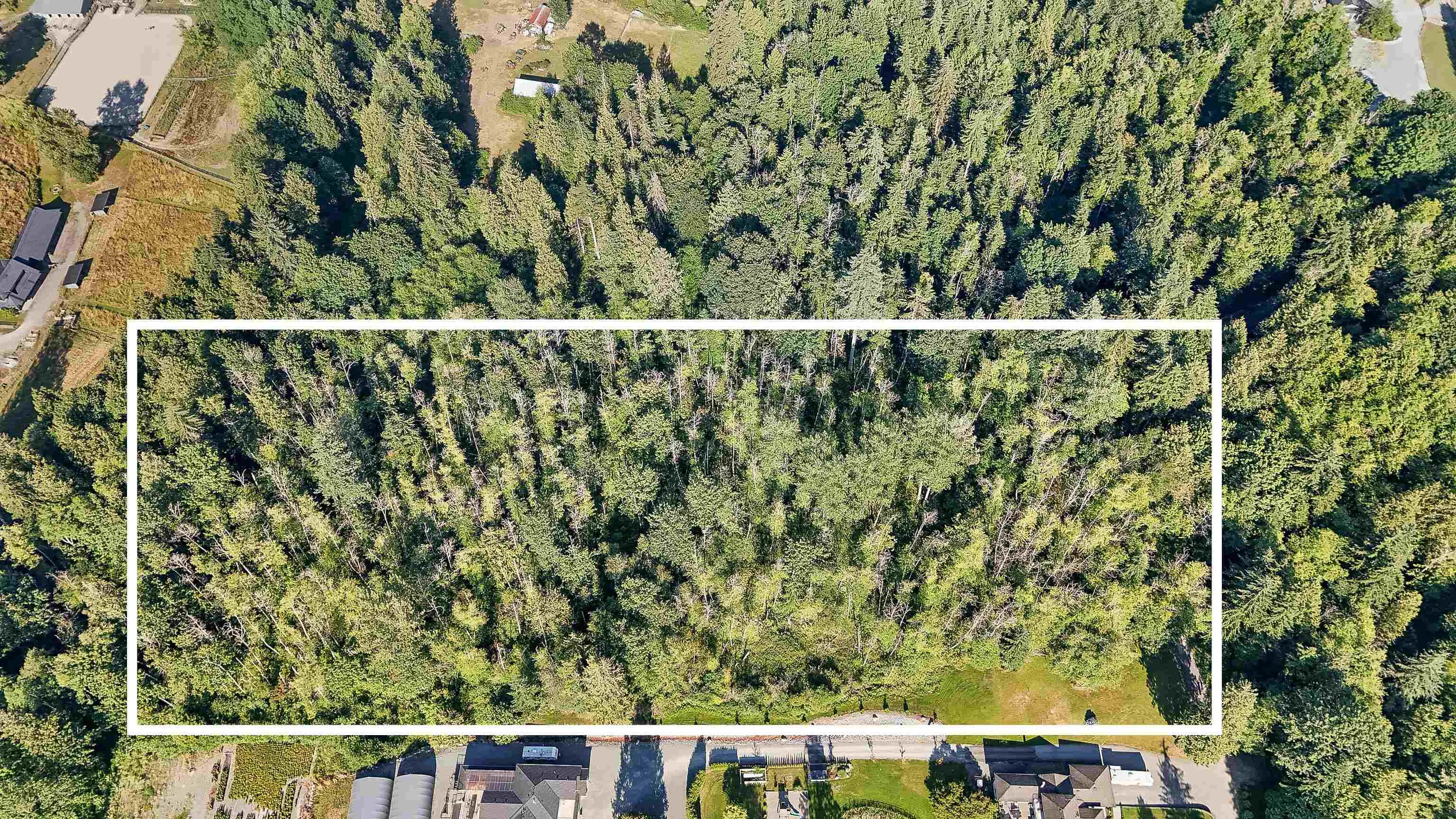 LT.20 Telegraph Trail