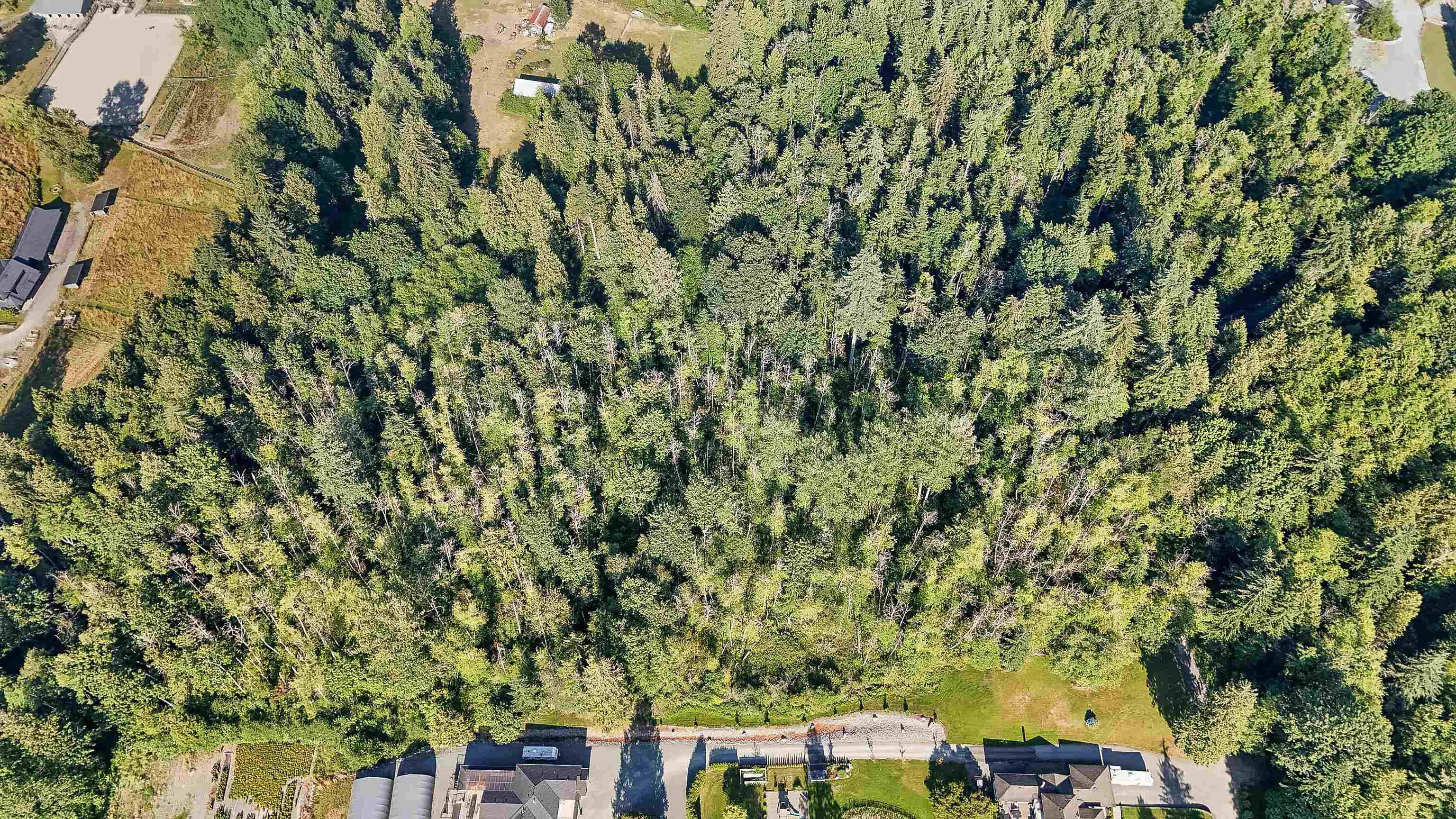LT.20 Telegraph Trail