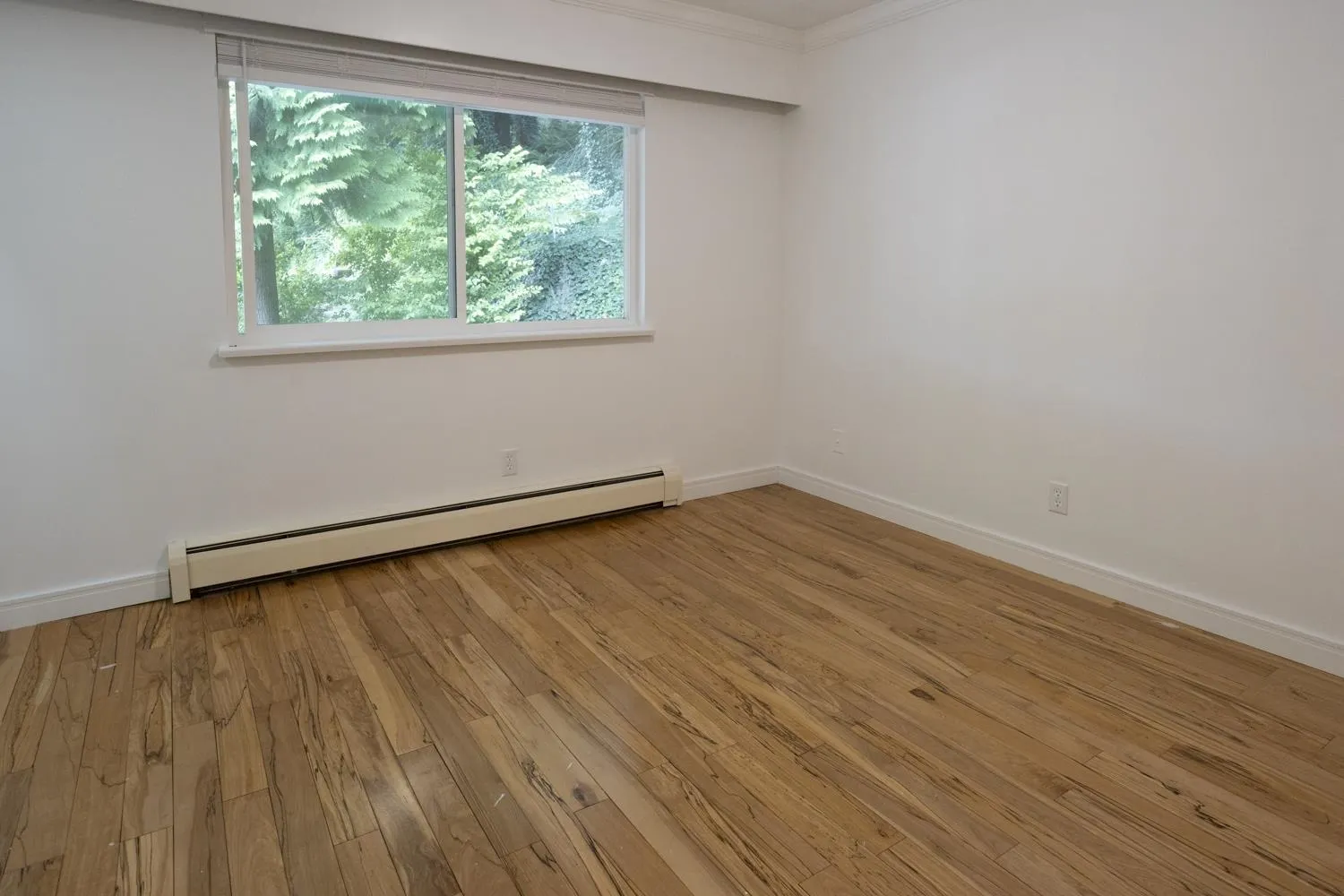 1786 View Street